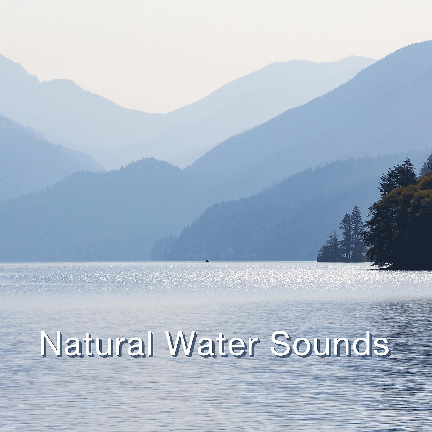 Water Sound and Squelch - Music Therapy (Gentle Rainfall)