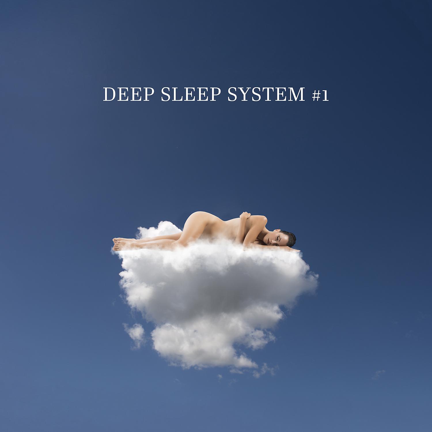 Постер альбома Deep Sleep System #1