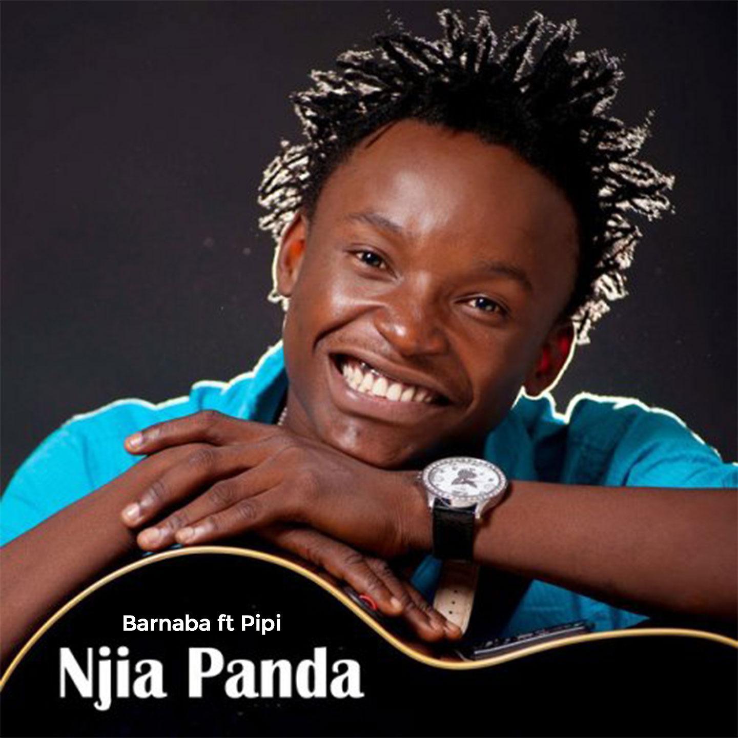 Постер альбома Njia Panda
