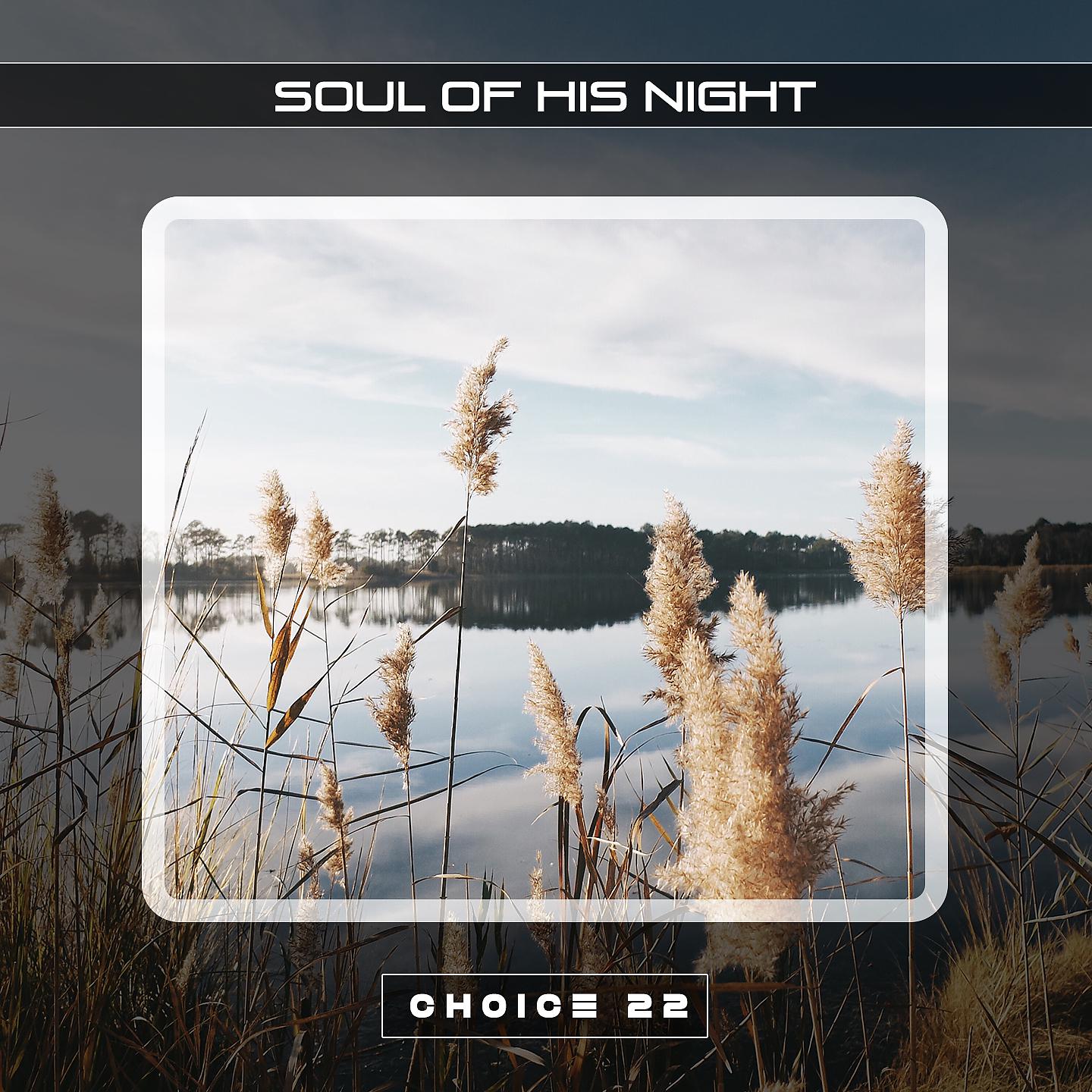 Постер альбома Soul of His Night Choice 22