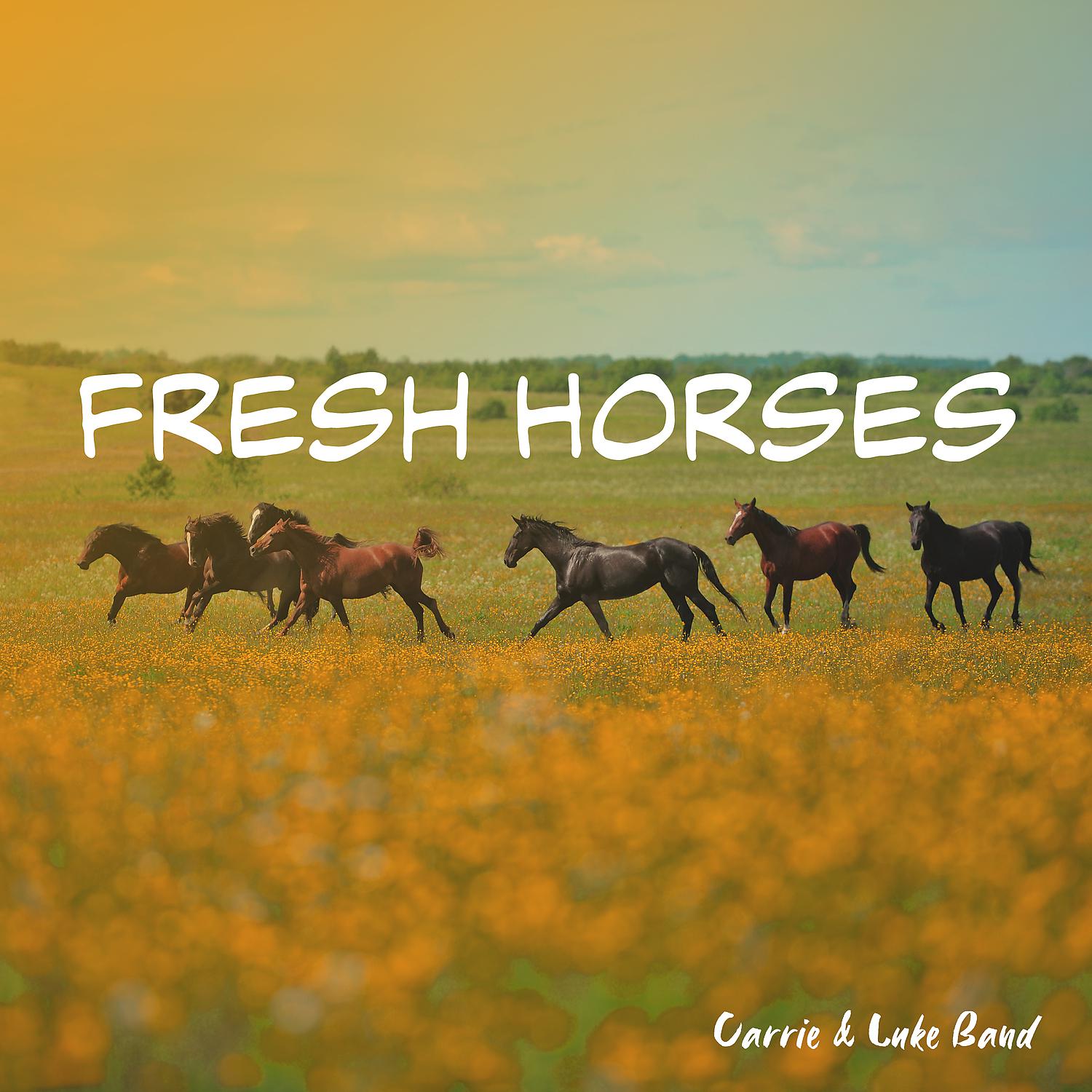 Постер альбома Fresh Horses