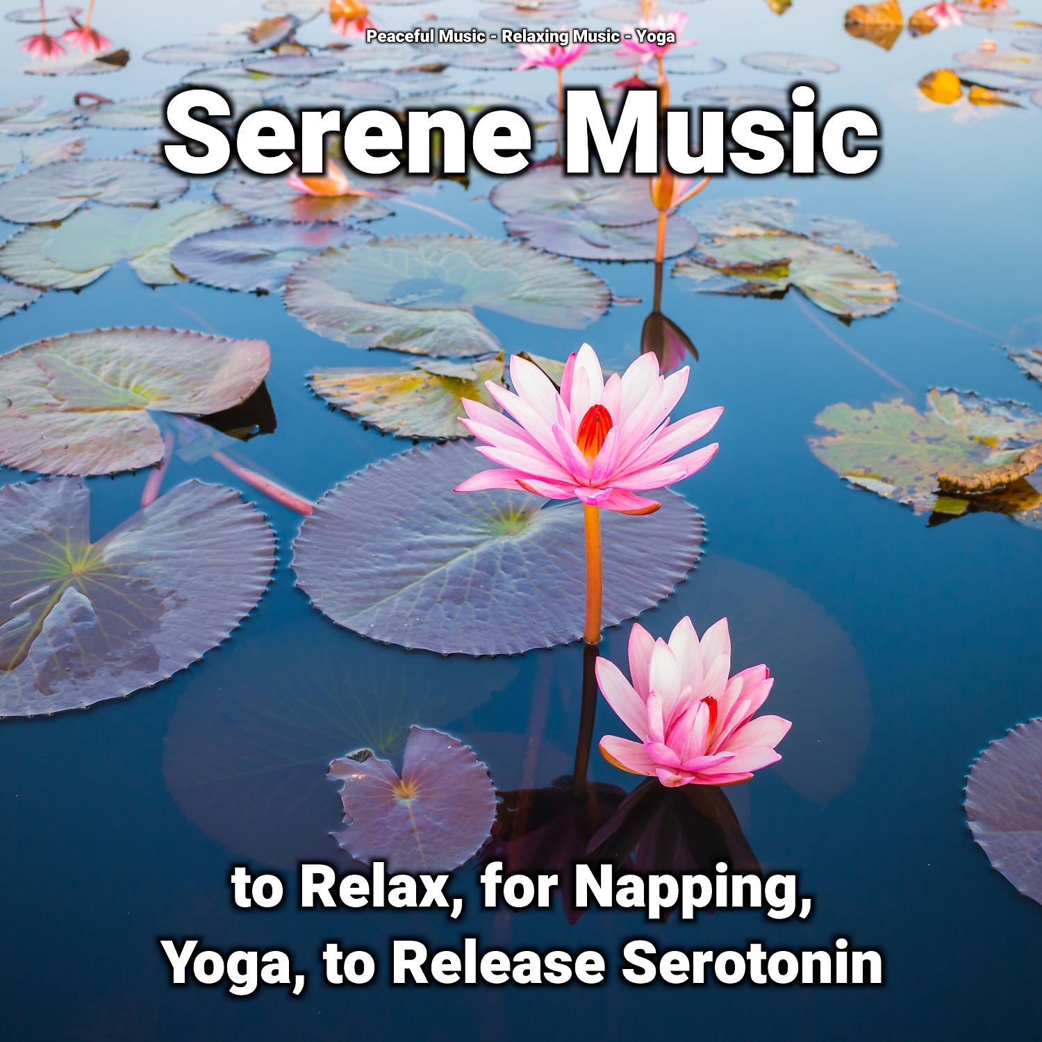 Постер альбома Serene Music to Relax, for Napping, Yoga, to Release Serotonin