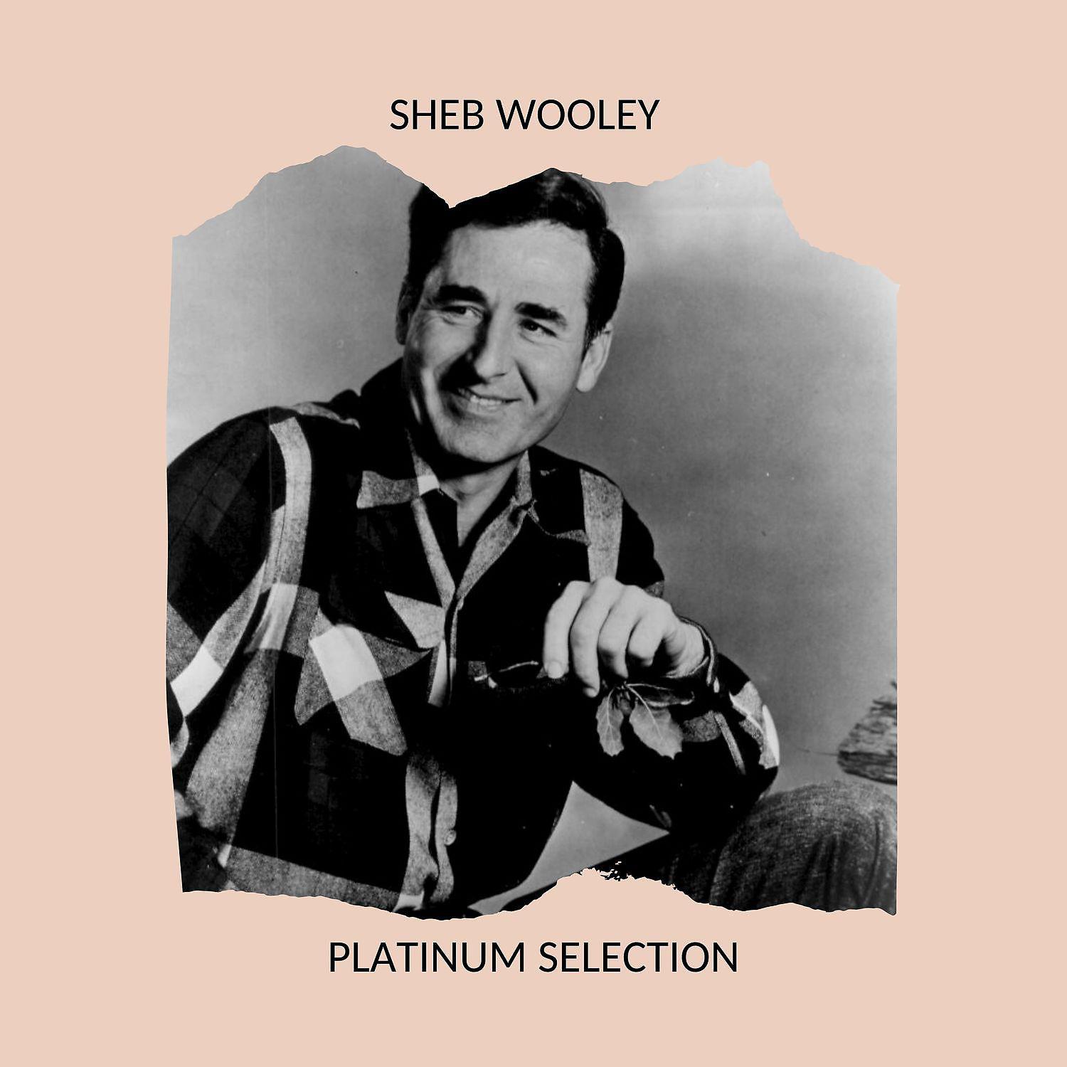 Постер альбома Sheb Wooley - Platinum Selection