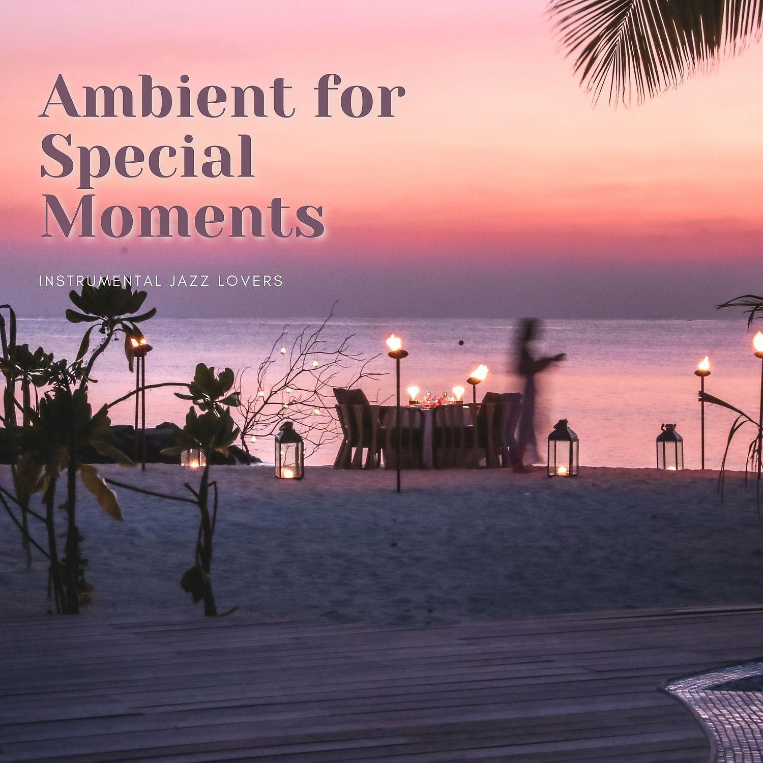 Постер альбома Instrumental Ambient for Special Moments