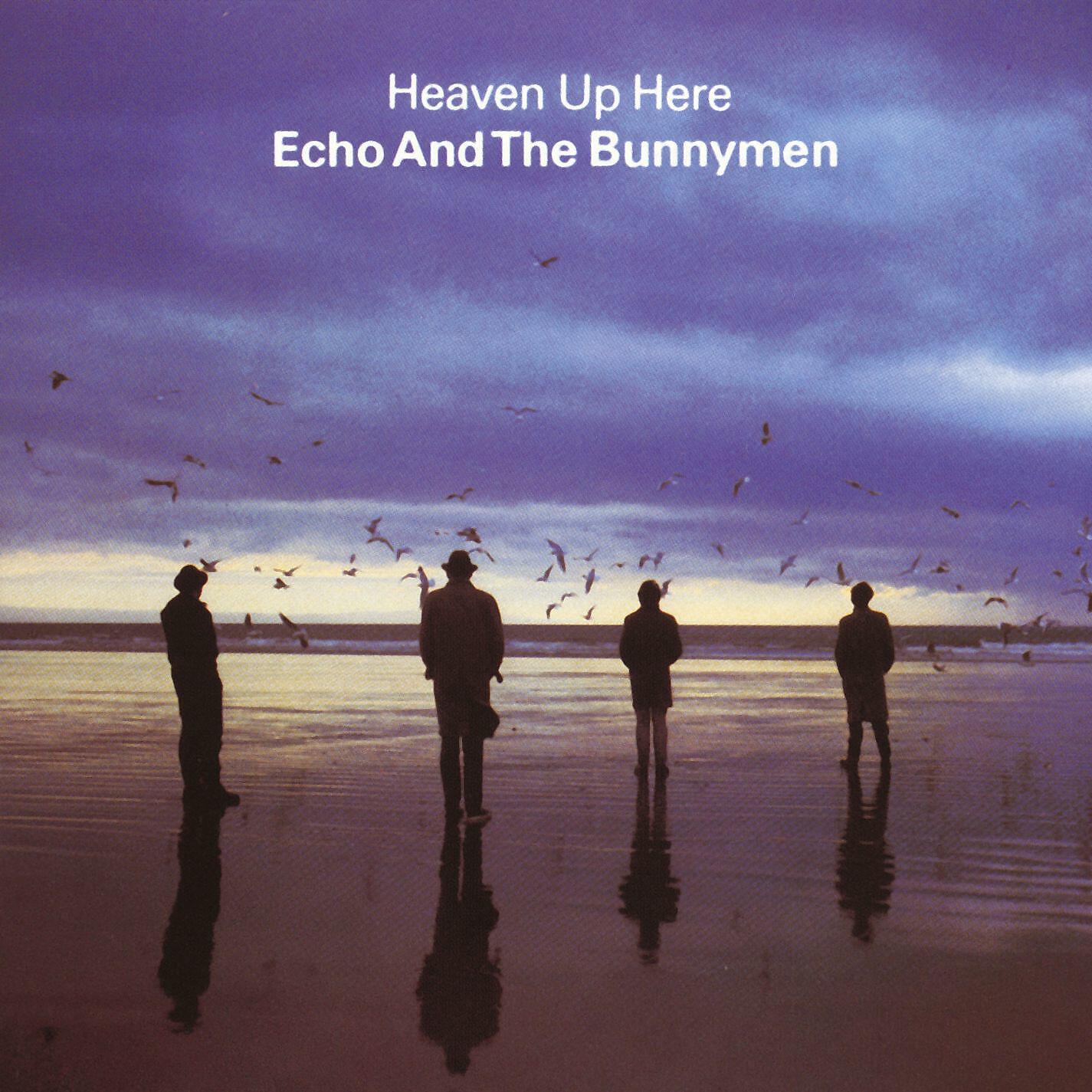 Echo And The Bunnymen - All My Colours