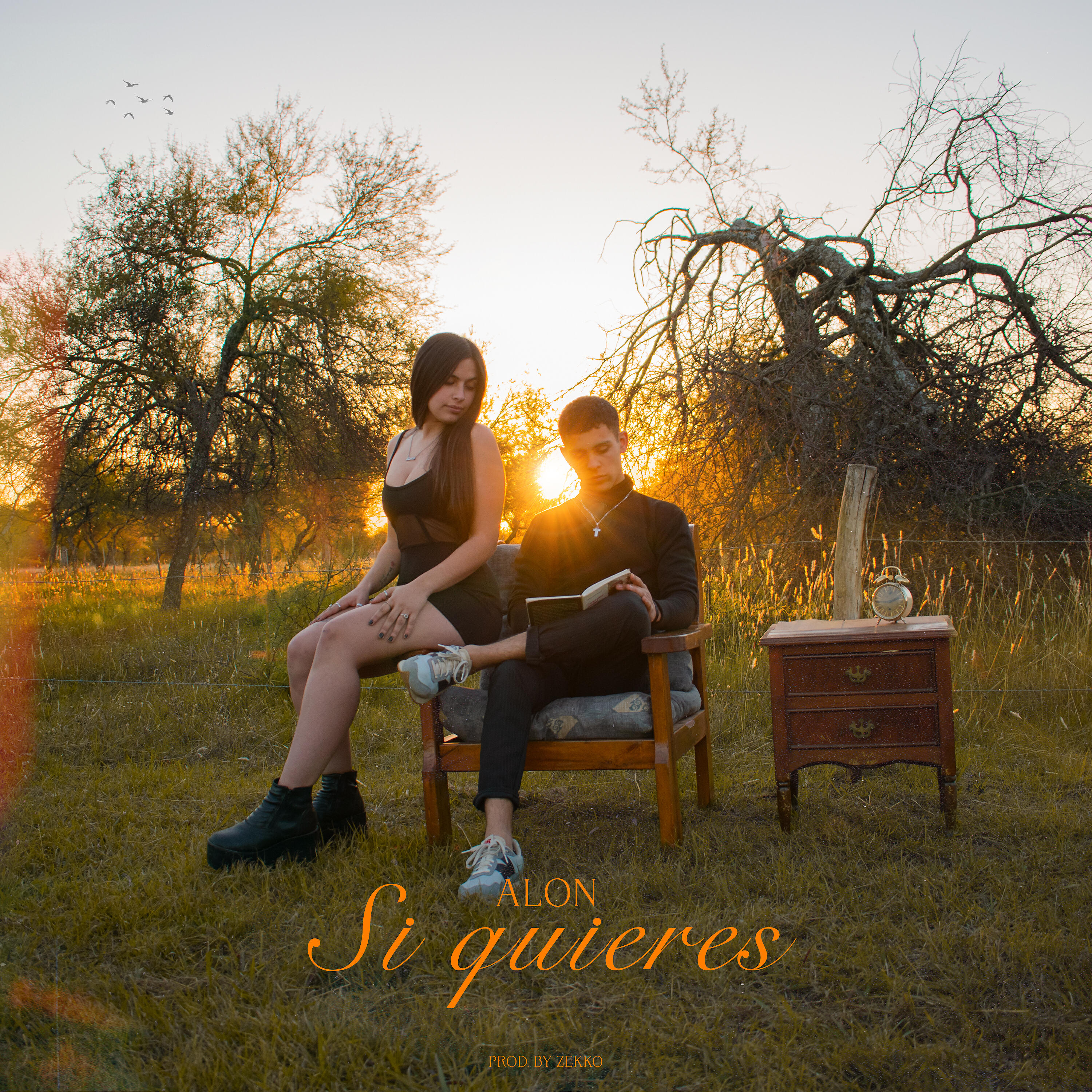 ALON - Si Quieres
