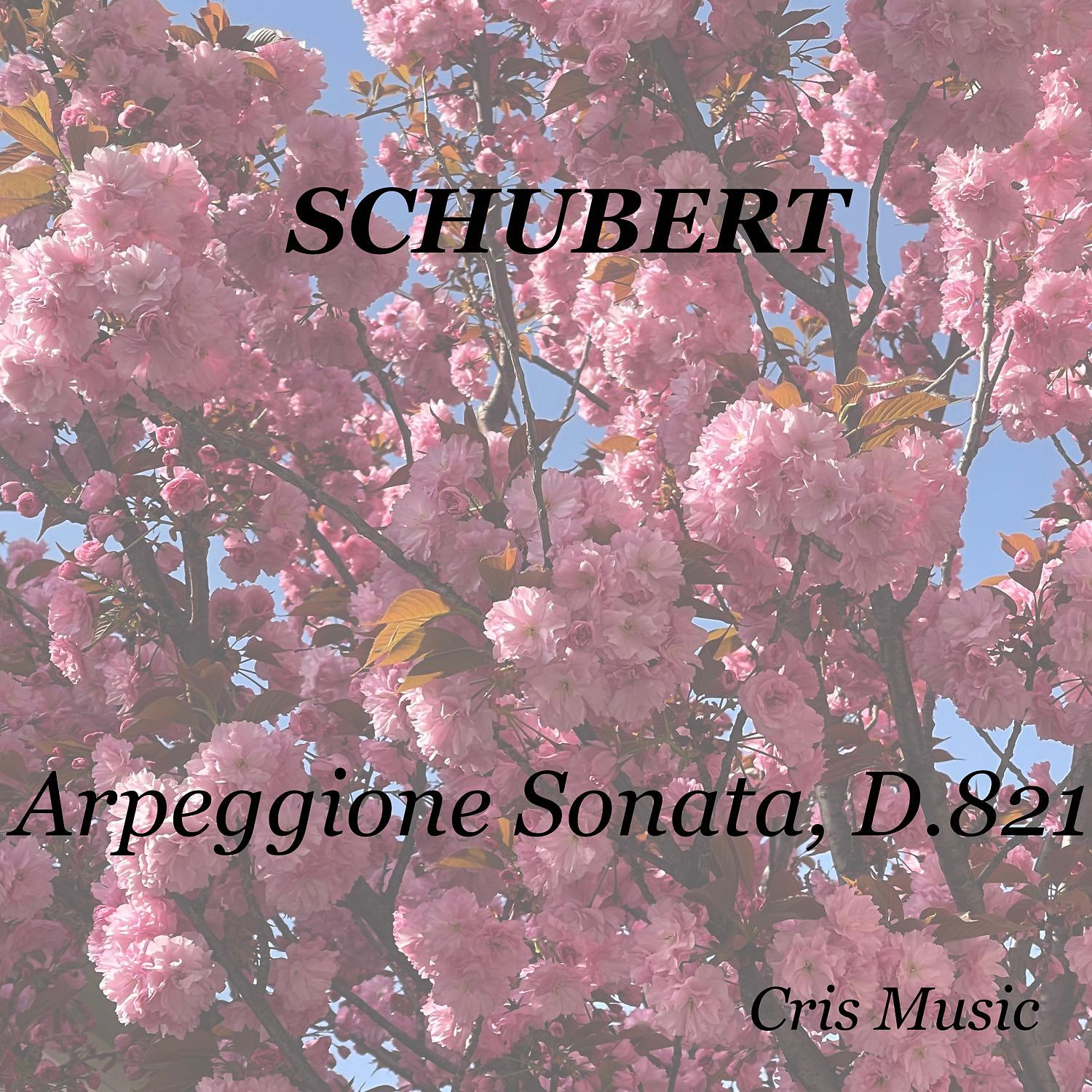 Постер альбома Schubert: Arpeggione Sonata, D.821