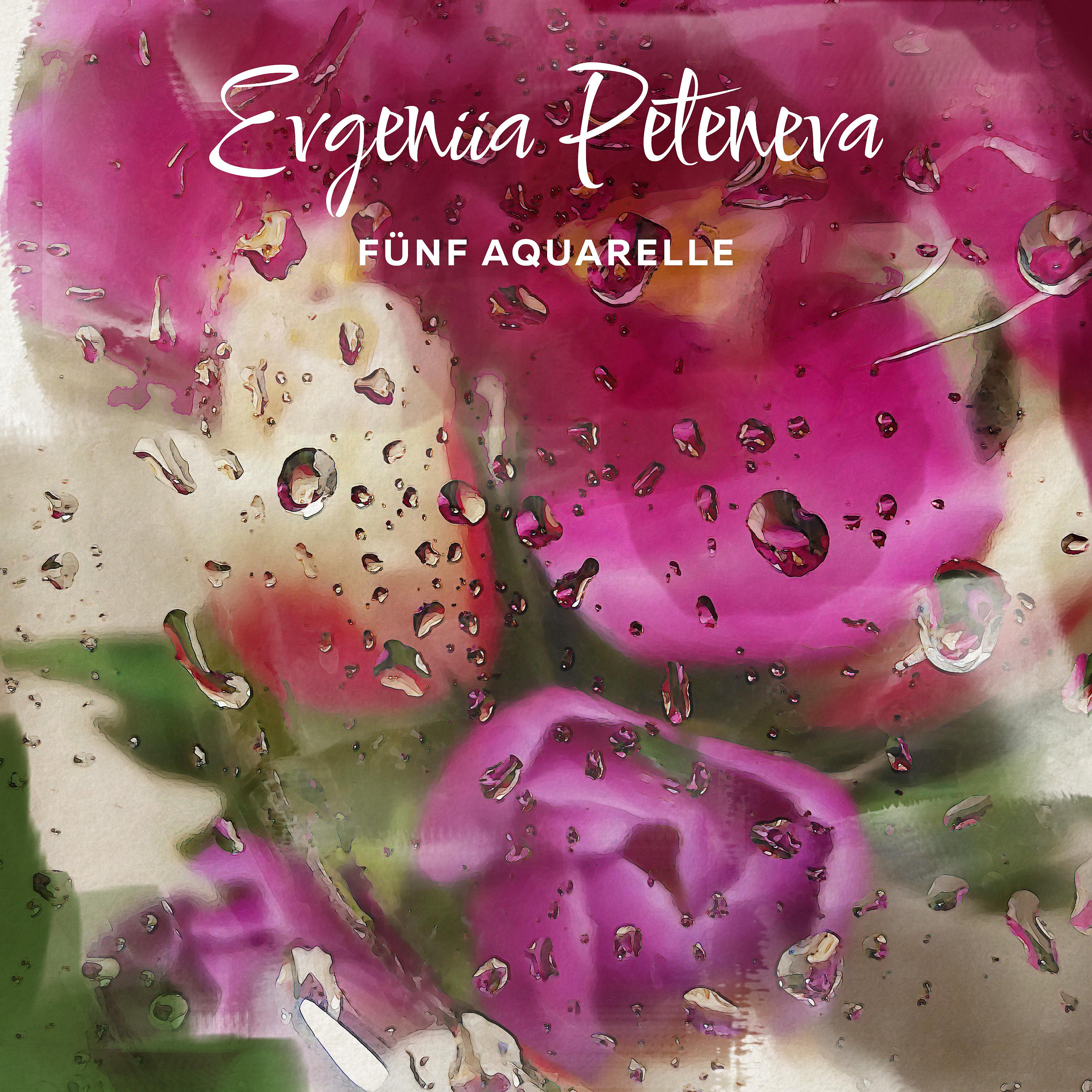 Постер альбома Fünf Aquarelle