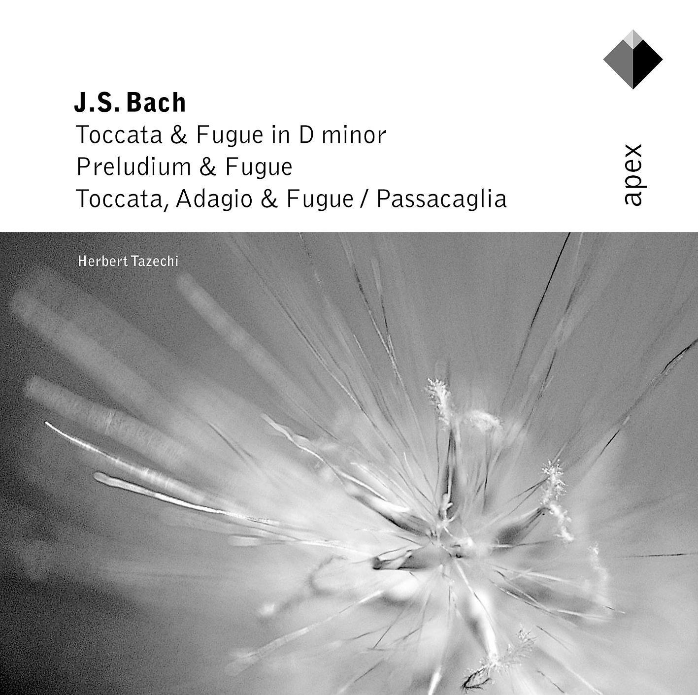 Постер альбома Bach, JS : Organ Works  -  Apex