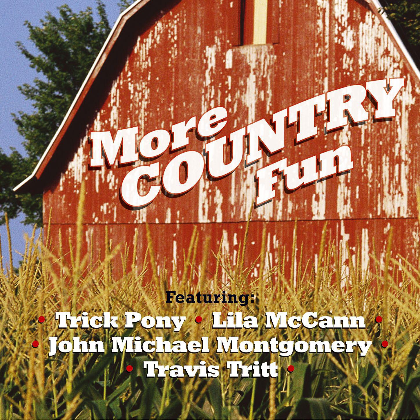 Постер альбома More Country Fun