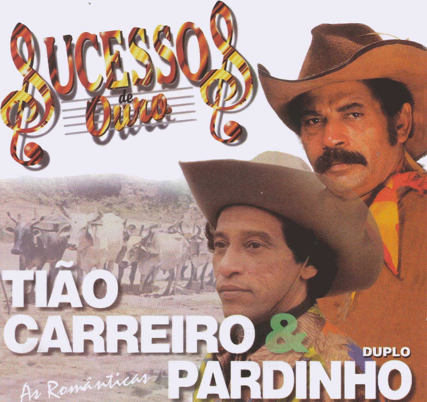 Постер альбома Sucessos de Ouro (As românticas)