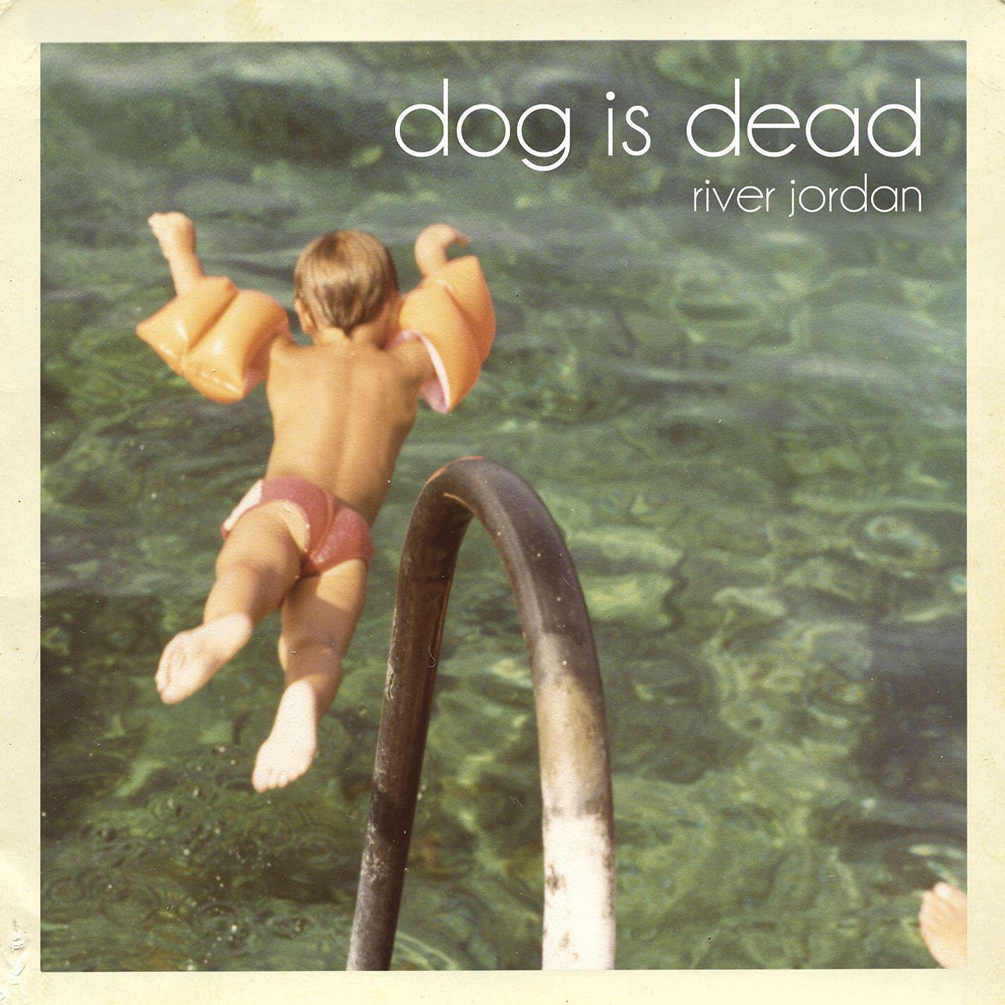 D.I.D. - Lion Cub