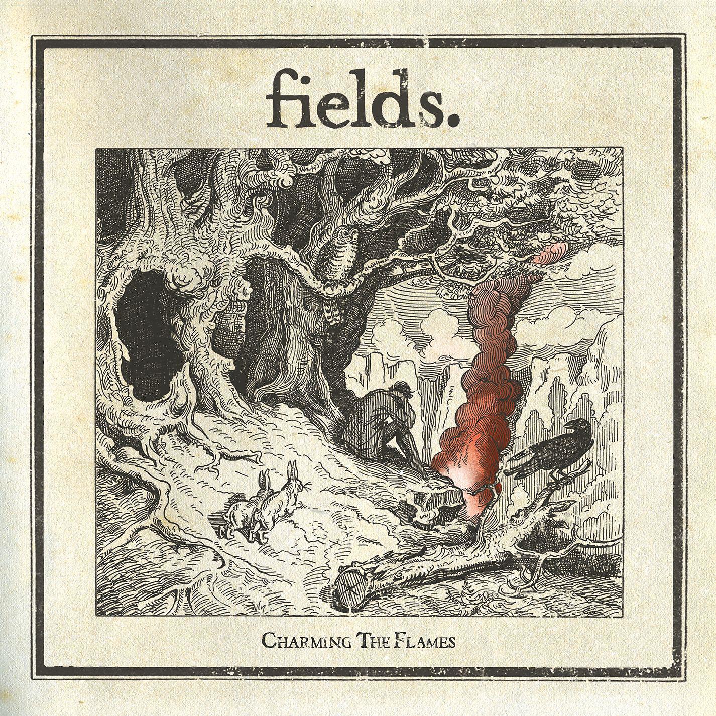 Fields - When You Sleep