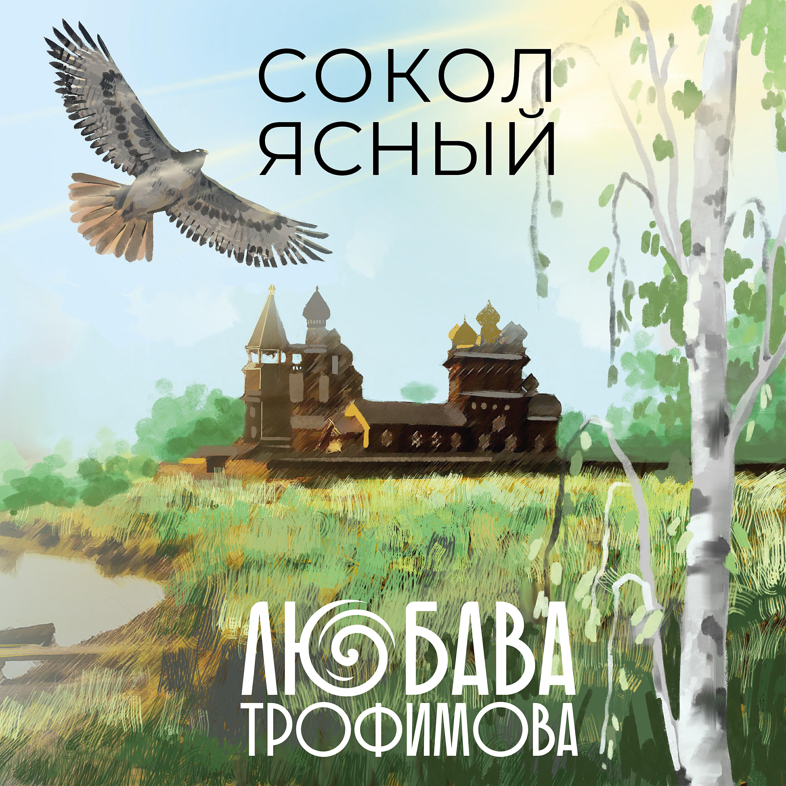 Музыка ясный сокол. Ясный Сокол. Русская народная сказка Финист Ясный Сокол. Сокол мой Ясный. Дмитрий Сокол альбомы.