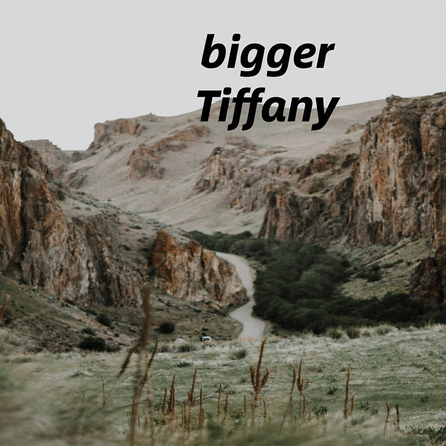 Tiffany - bear