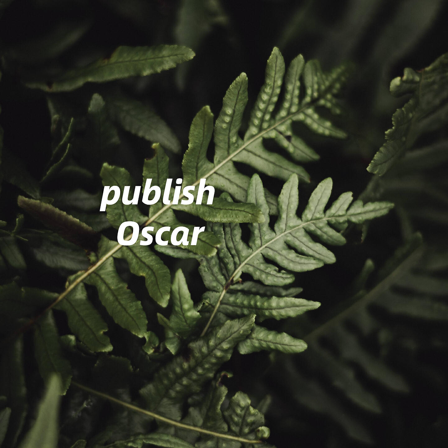 Oscar - statistics