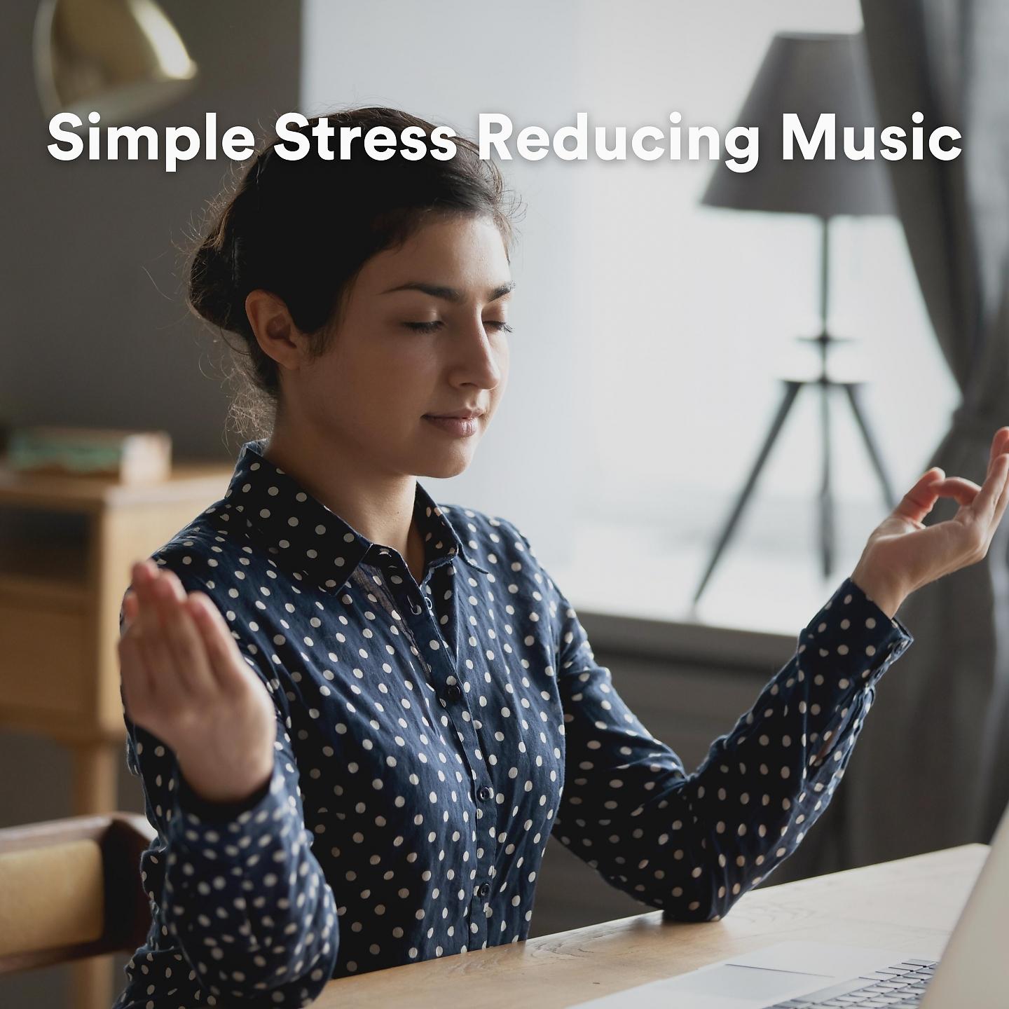Постер альбома Simple Stress Reducing Music
