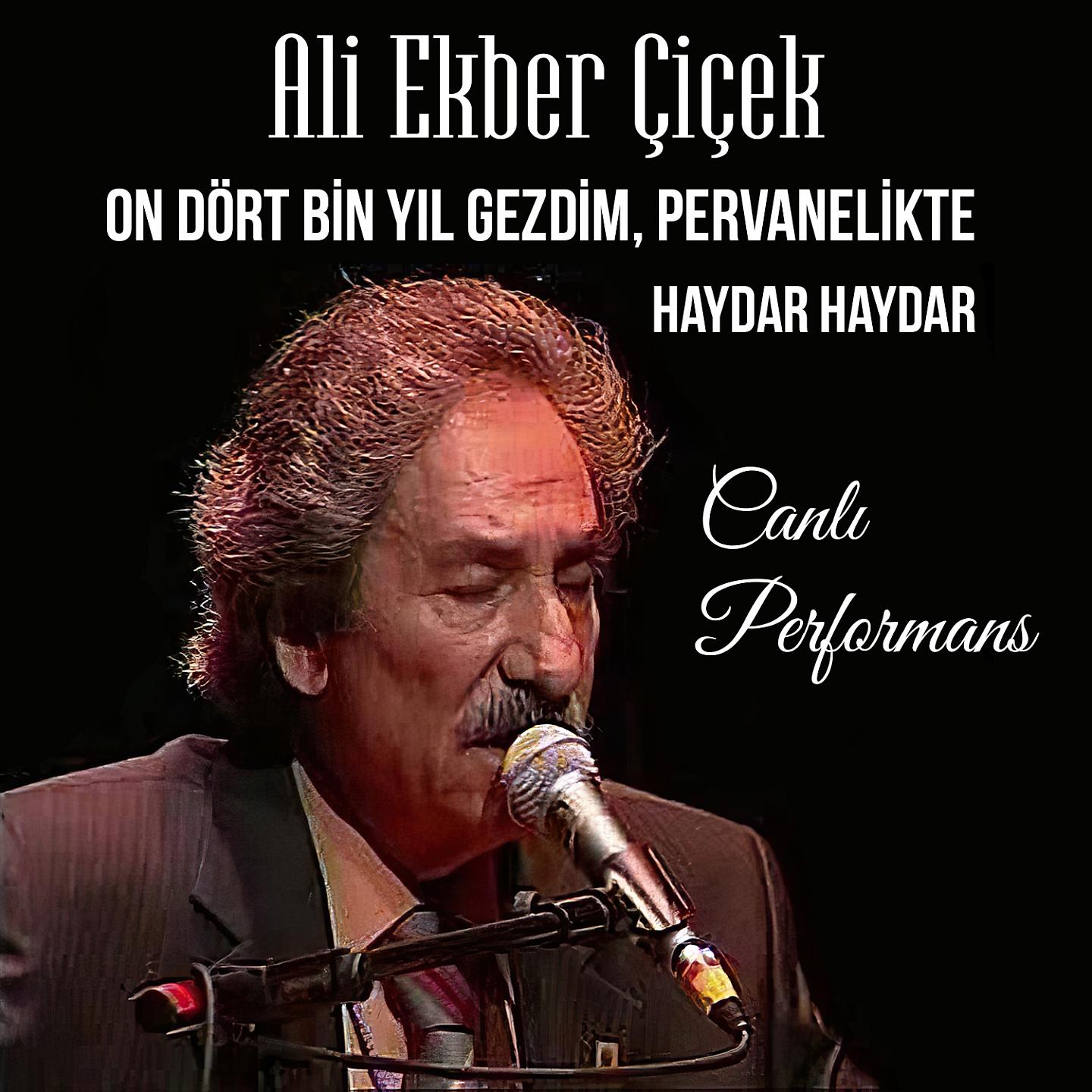 Постер альбома On Dört Bin Yıl Gezdim, Pervanelikte / Haydar Haydar