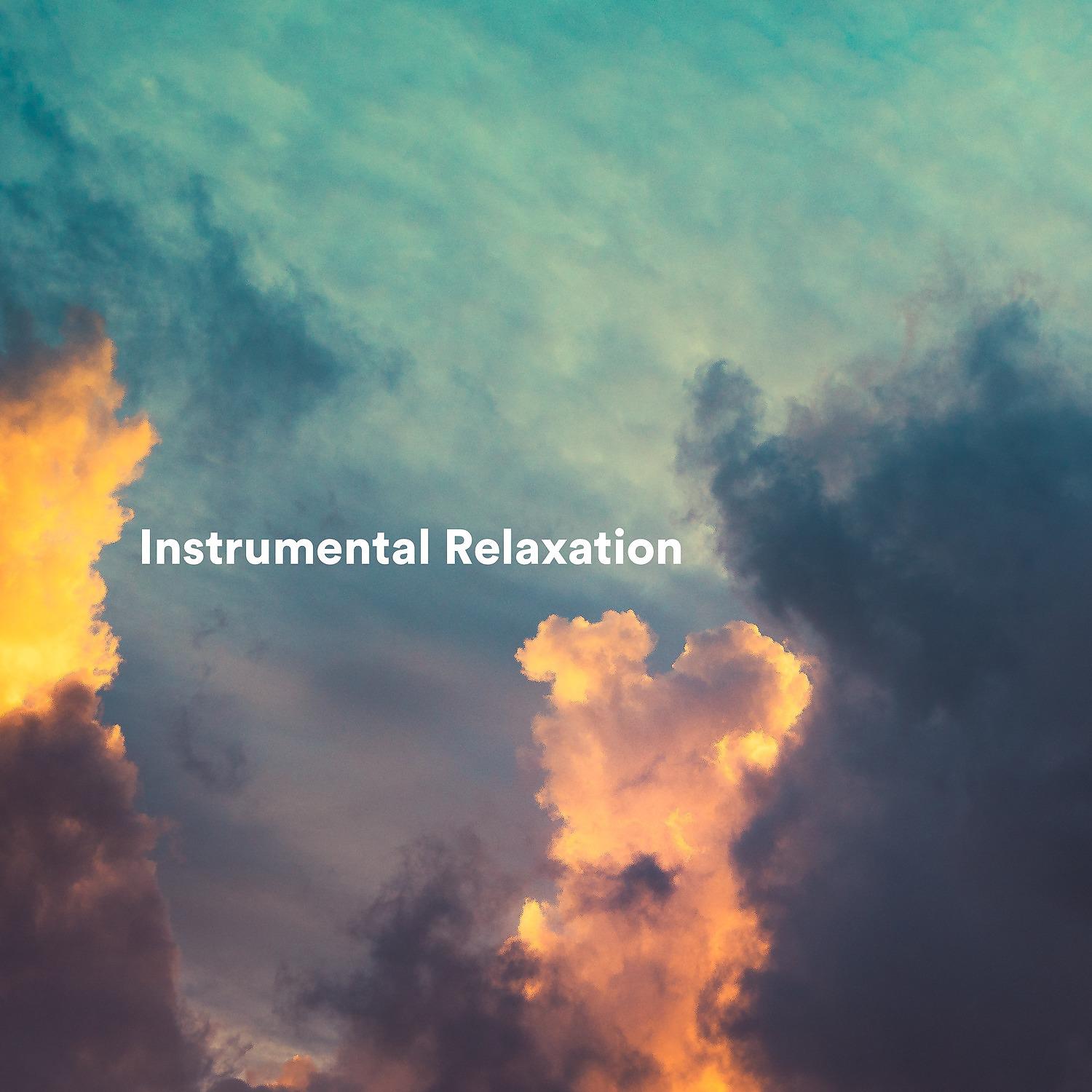 Постер альбома Instrumental Relaxation