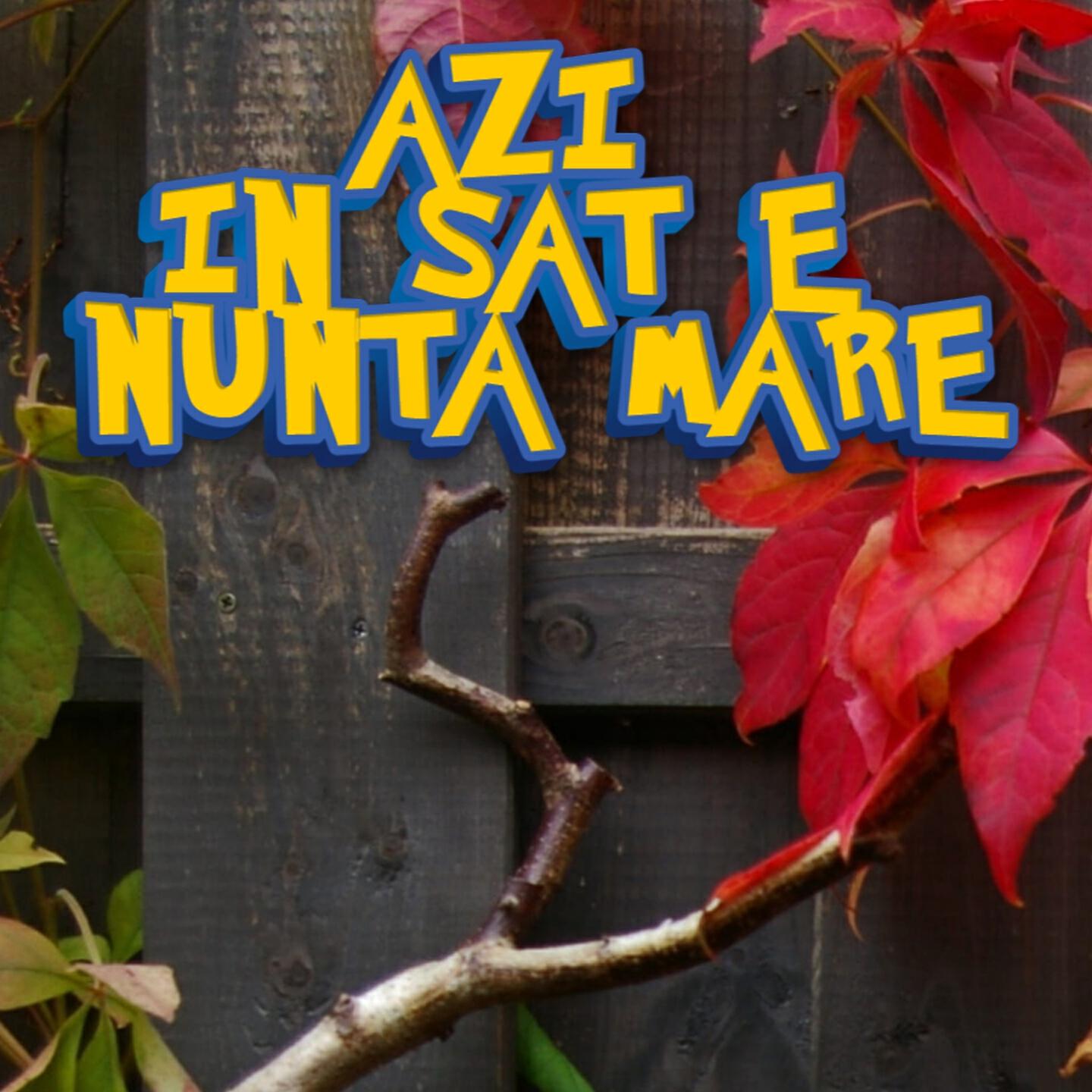 FORMATIA CURAJ - Ilenuta De La Prut
