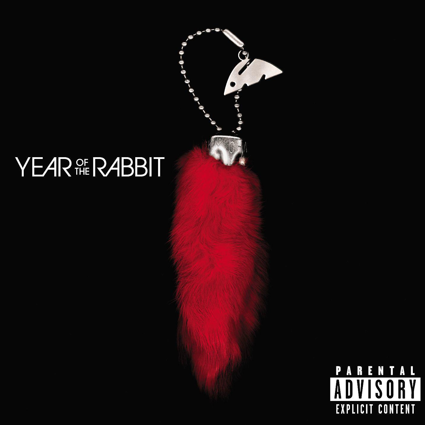 Постер альбома Year Of The Rabbit