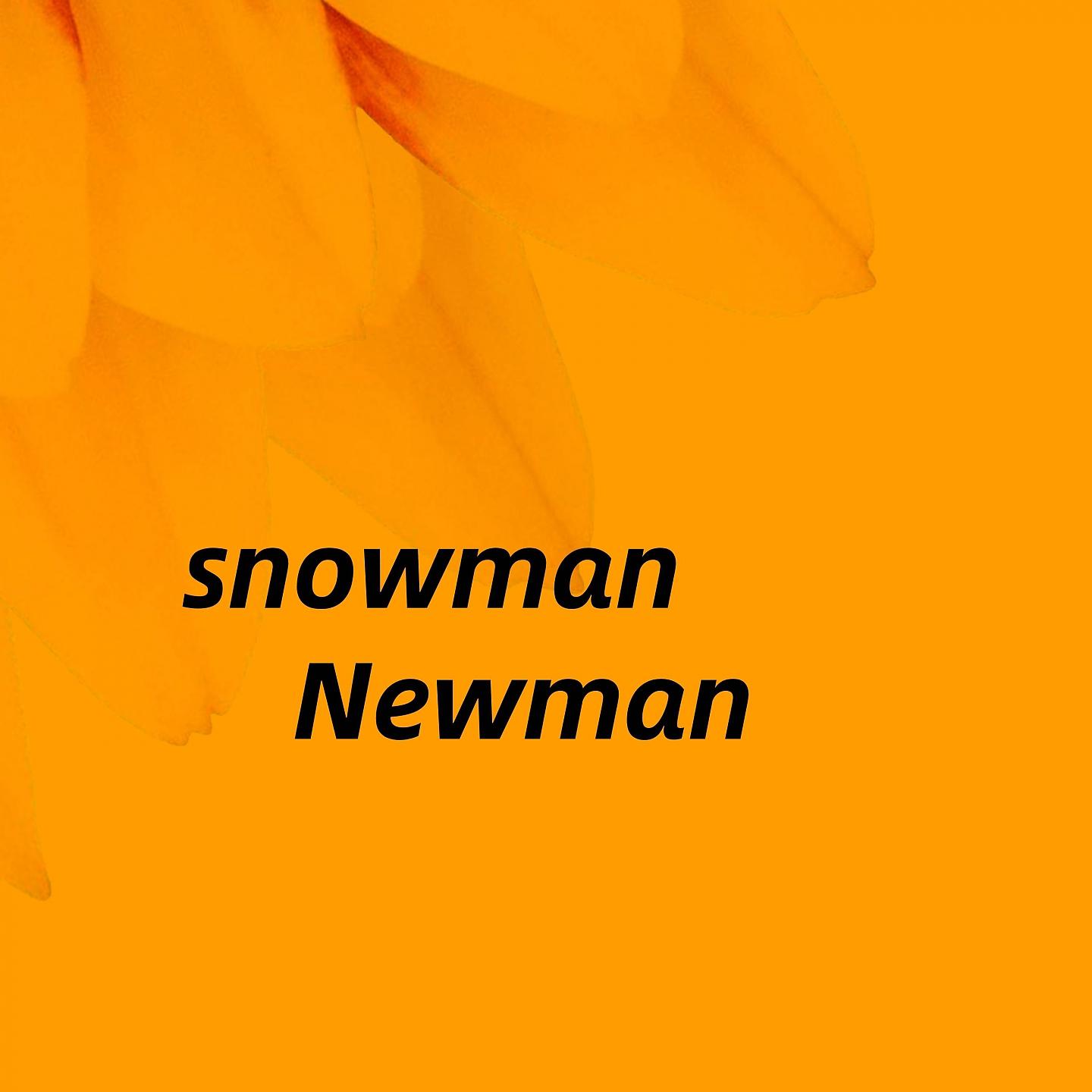 Постер альбома snowman