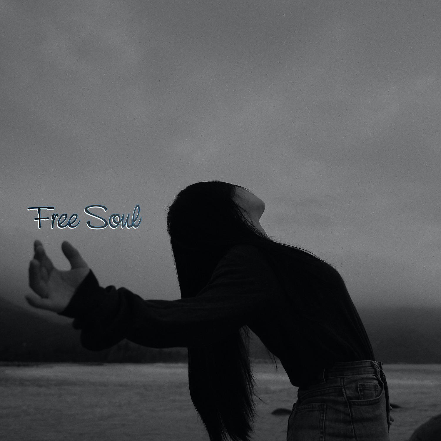 Постер альбома Free Soul