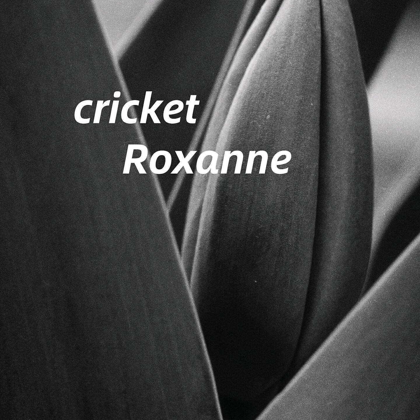 Roxanne - disgrace