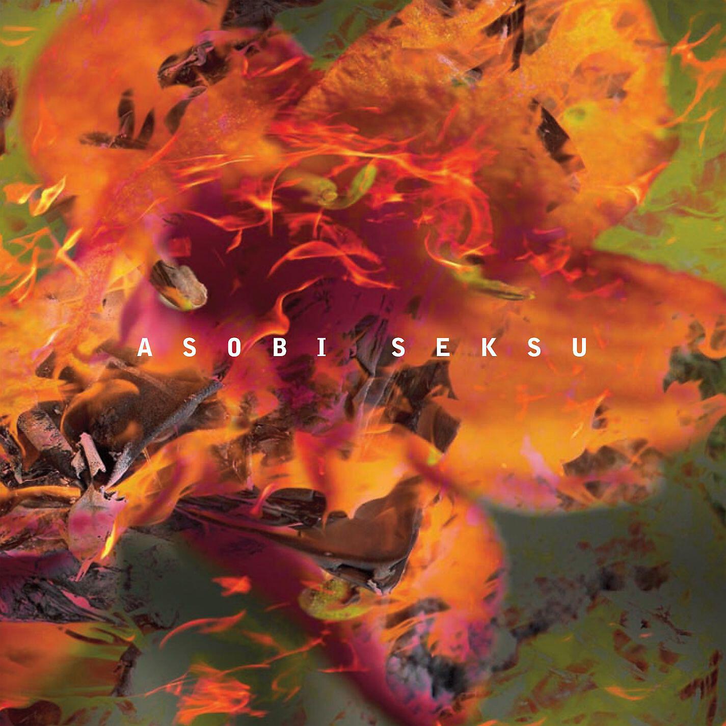 Asobi Seksu - Never Understand (The Jesus and Mary Chain Cover)