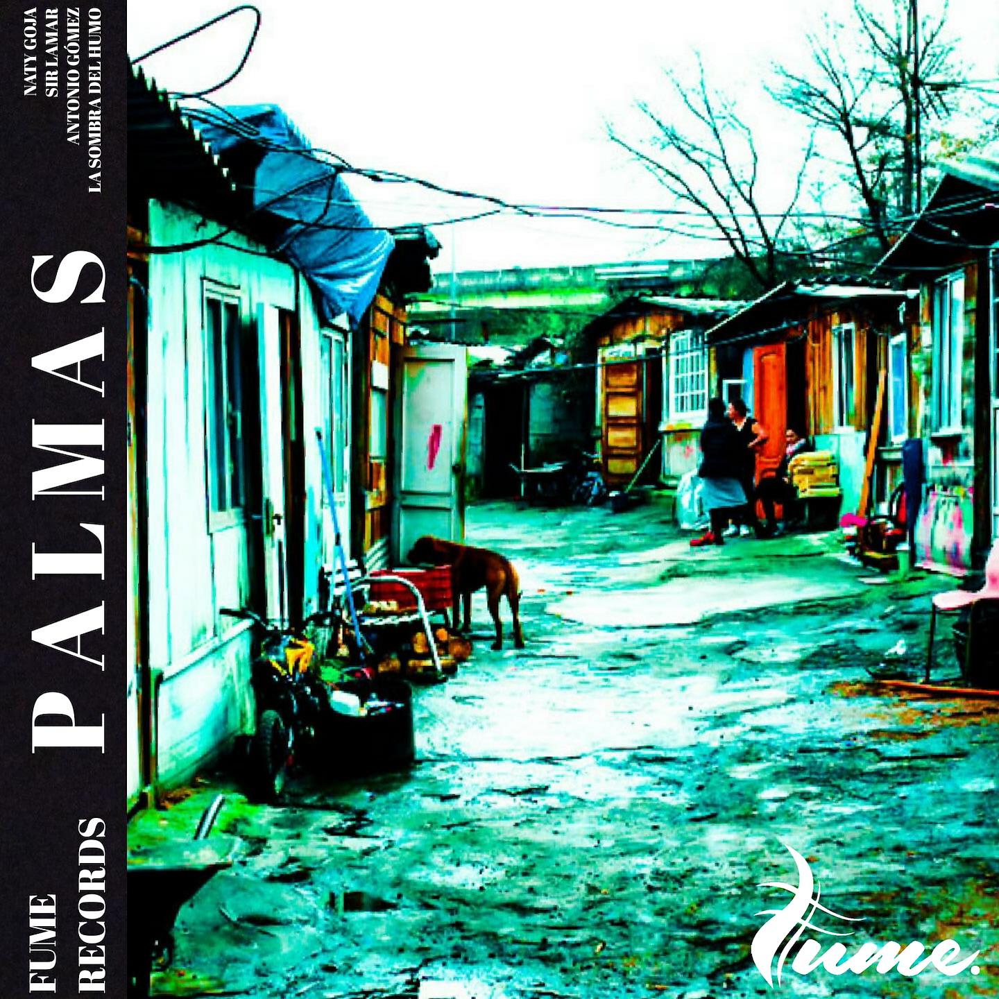 Постер альбома Palmas