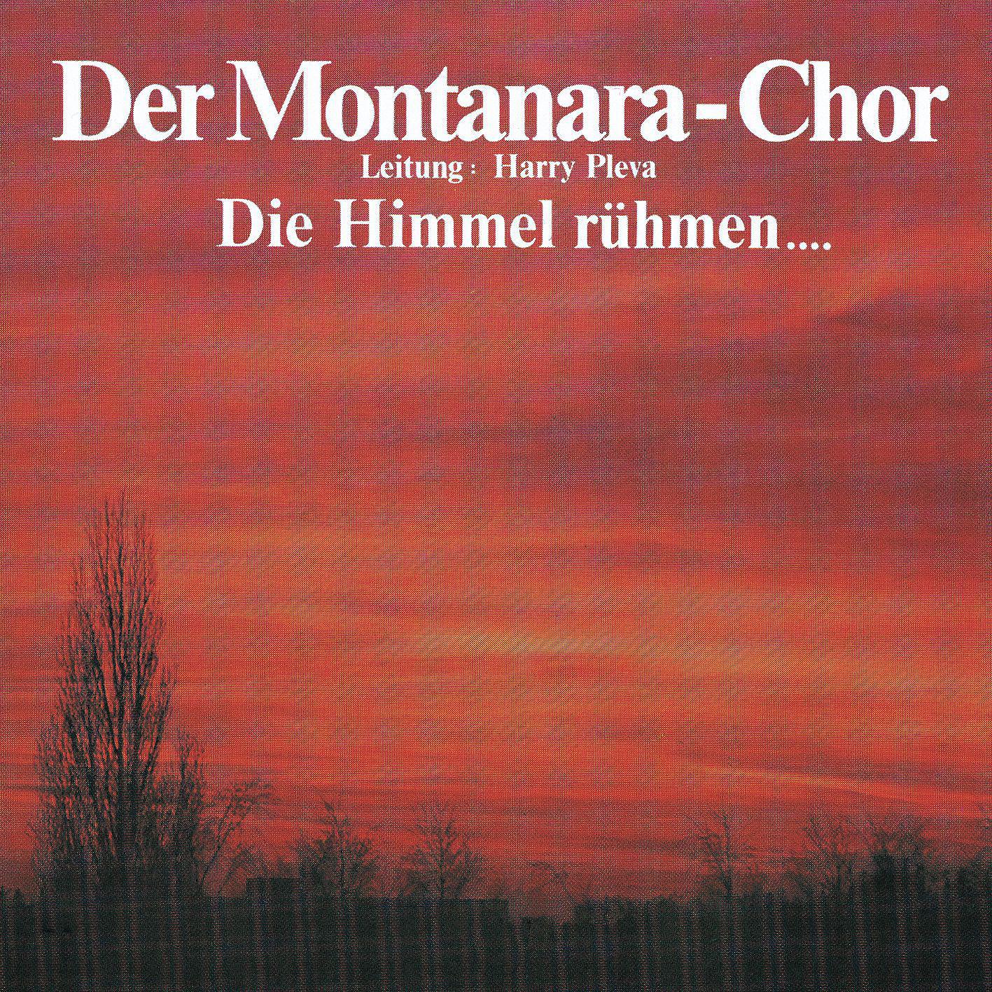 Постер альбома Die Himmel Rühmen