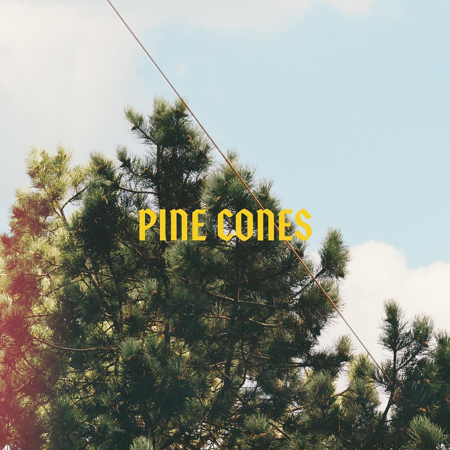 Постер альбома Pine Cones