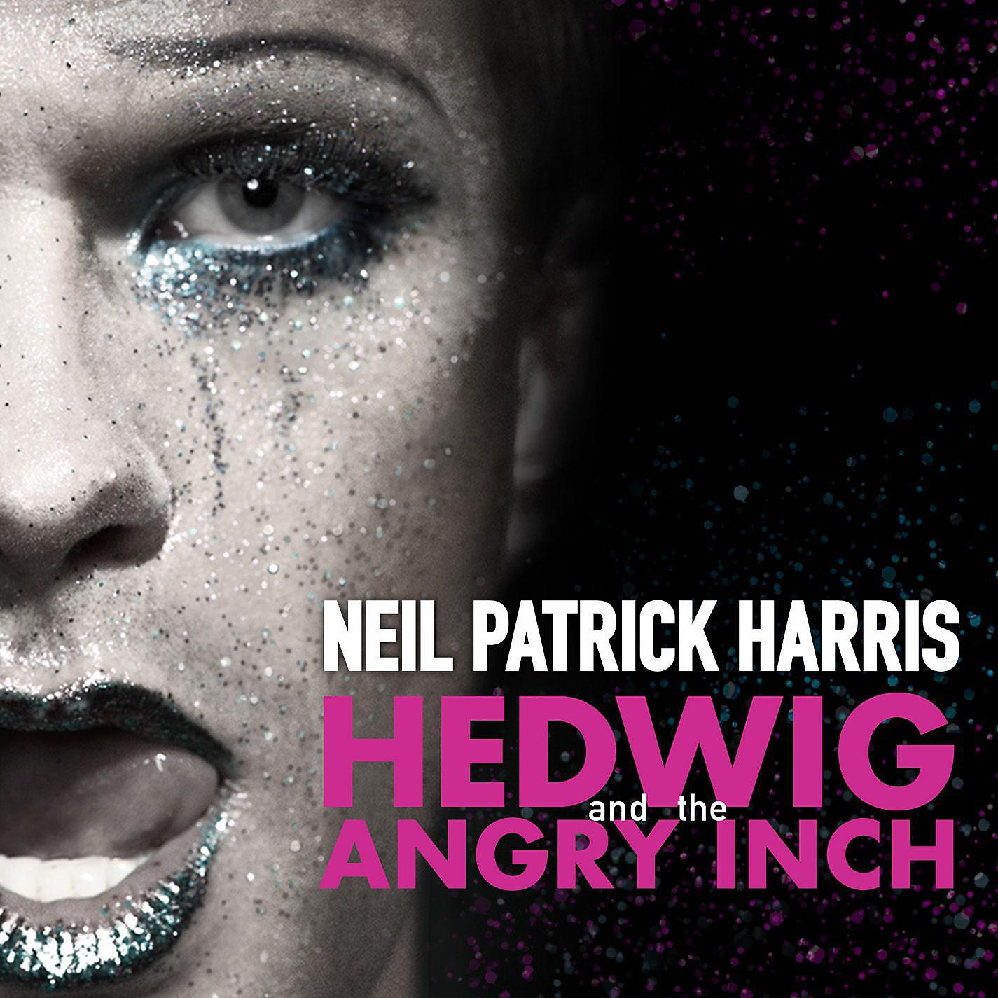 Постер альбома Hedwig And The Angry Inch Original Broadway Cast Recording