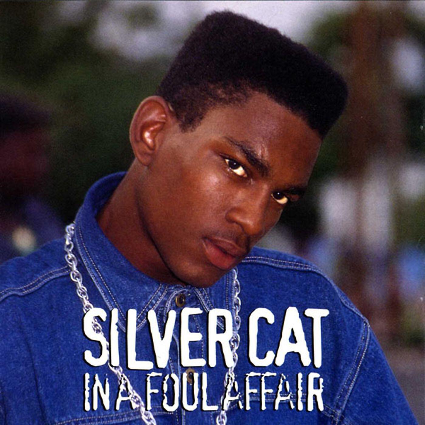 Silver Cat (Feat. Beenie Man) - Chronic