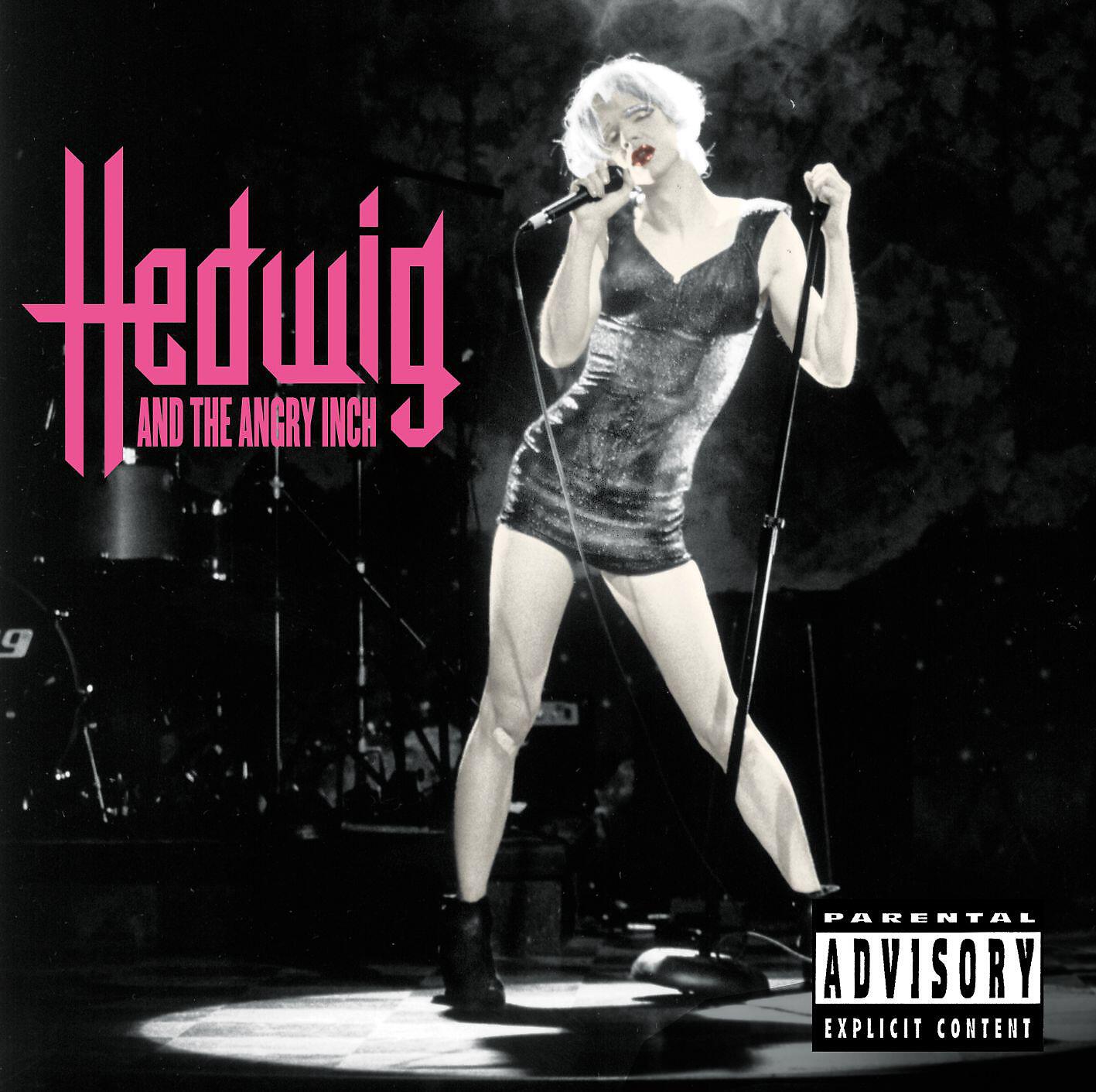 Hedwig And The Angry Inch - The Long Grift