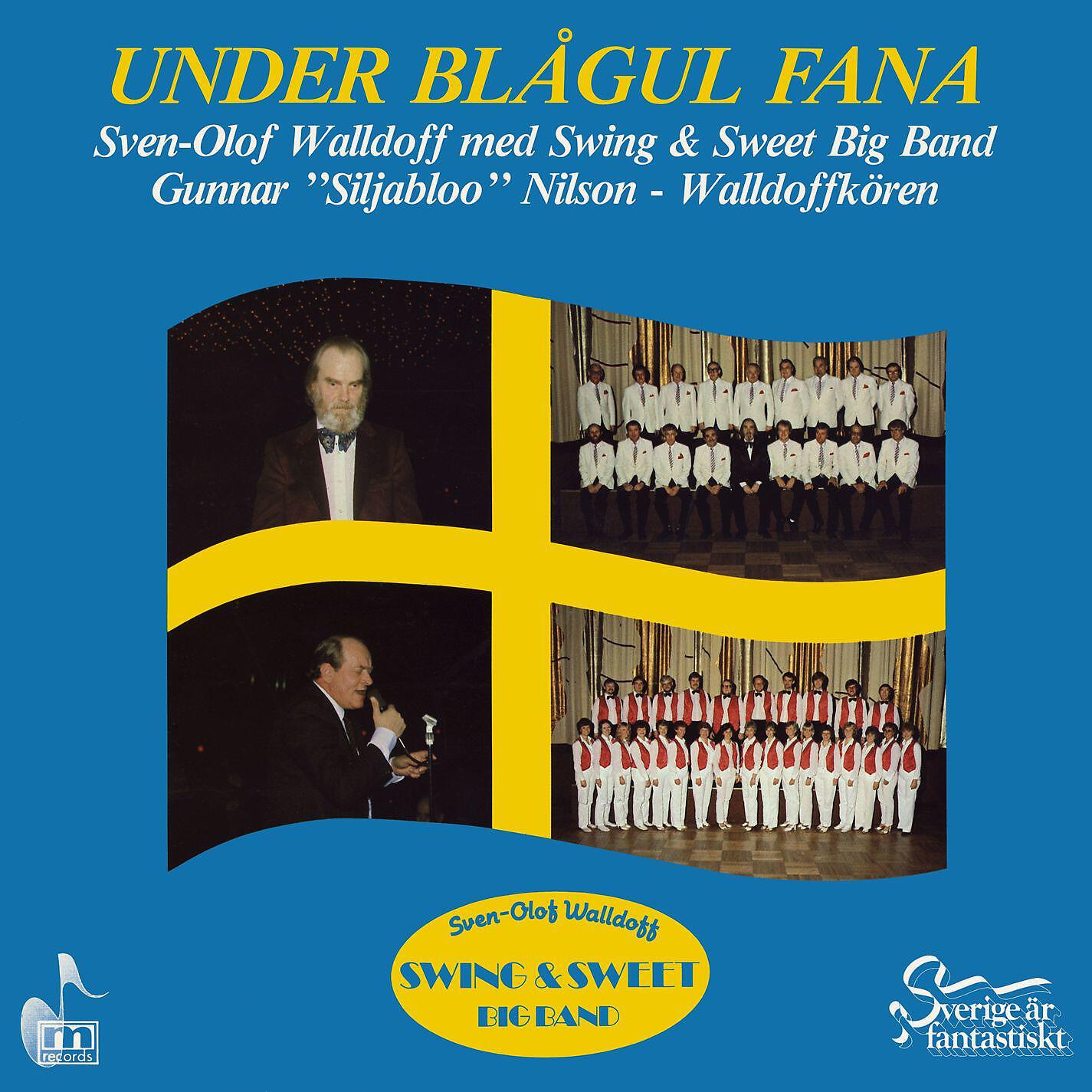 Swing & Sweet Big Band - Gåsapågen (Lite grann från ovan)