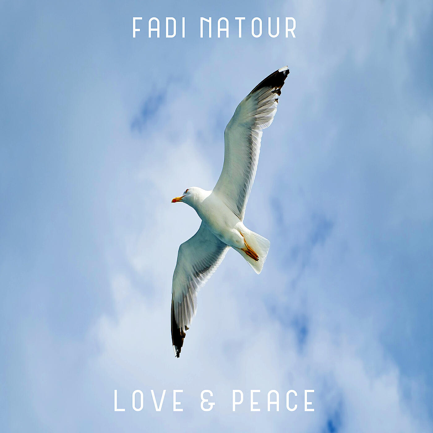 Fadi Natour - My Love