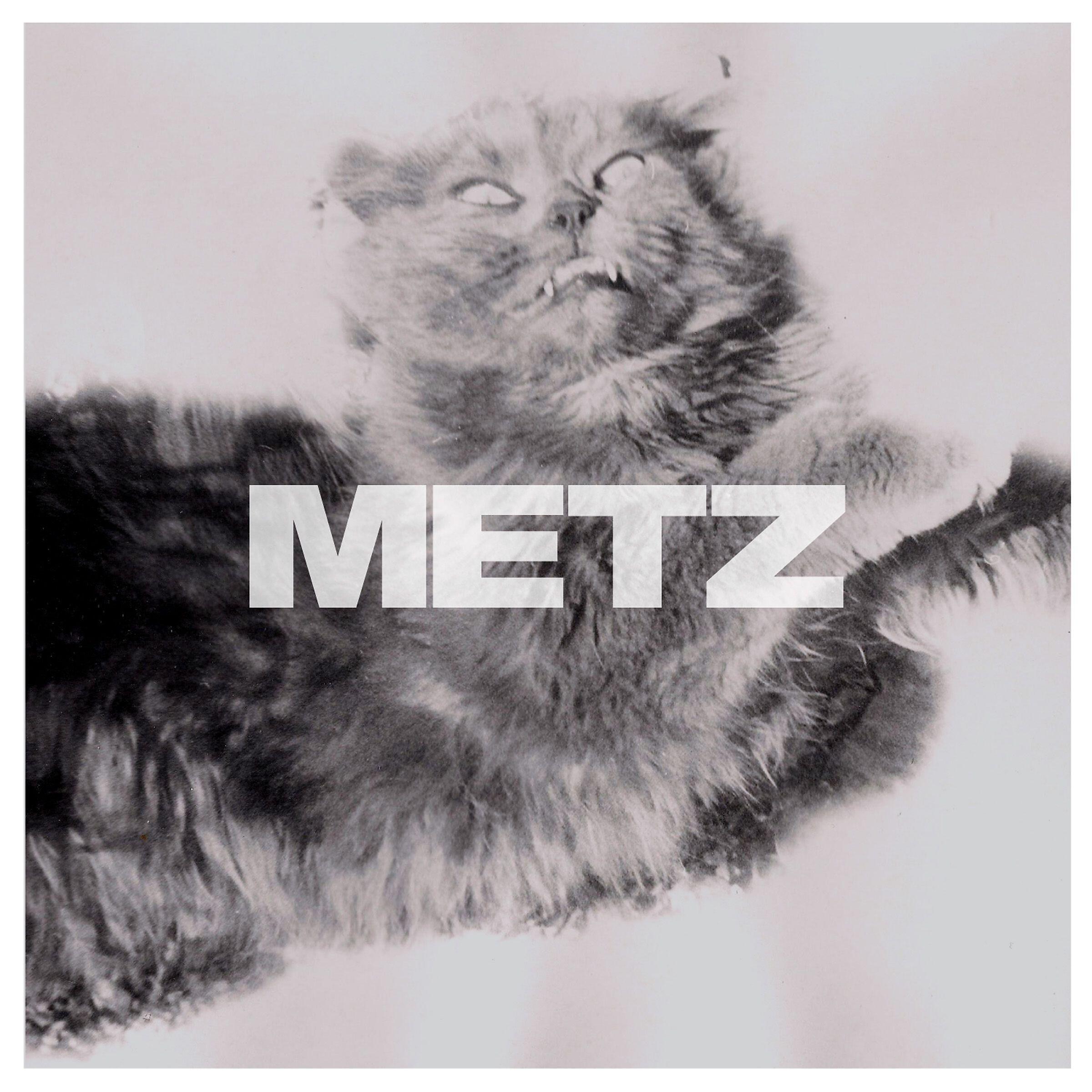 METZ - Dirty Shirt