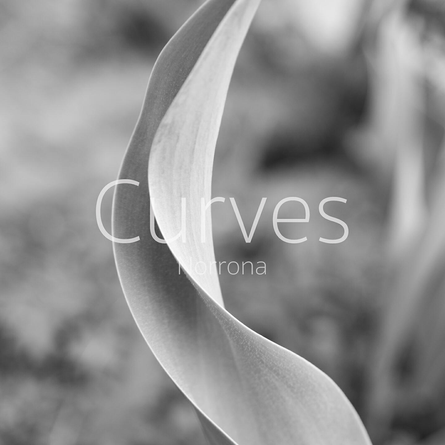 Norrona - Curves