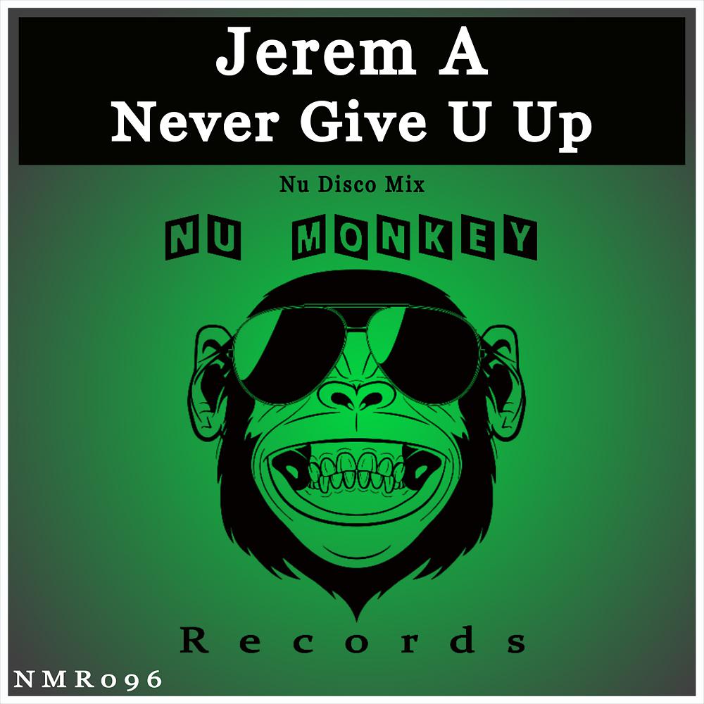Постер альбома Never Give U Up (Nu Disco Mix)