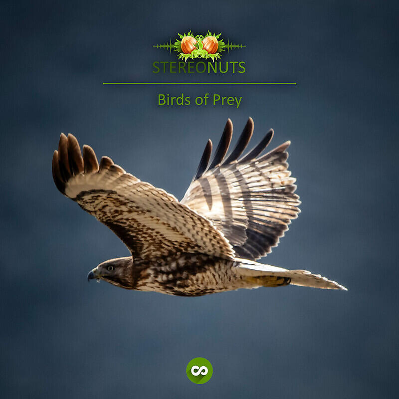 Stereo Nuts - Birds of Prey