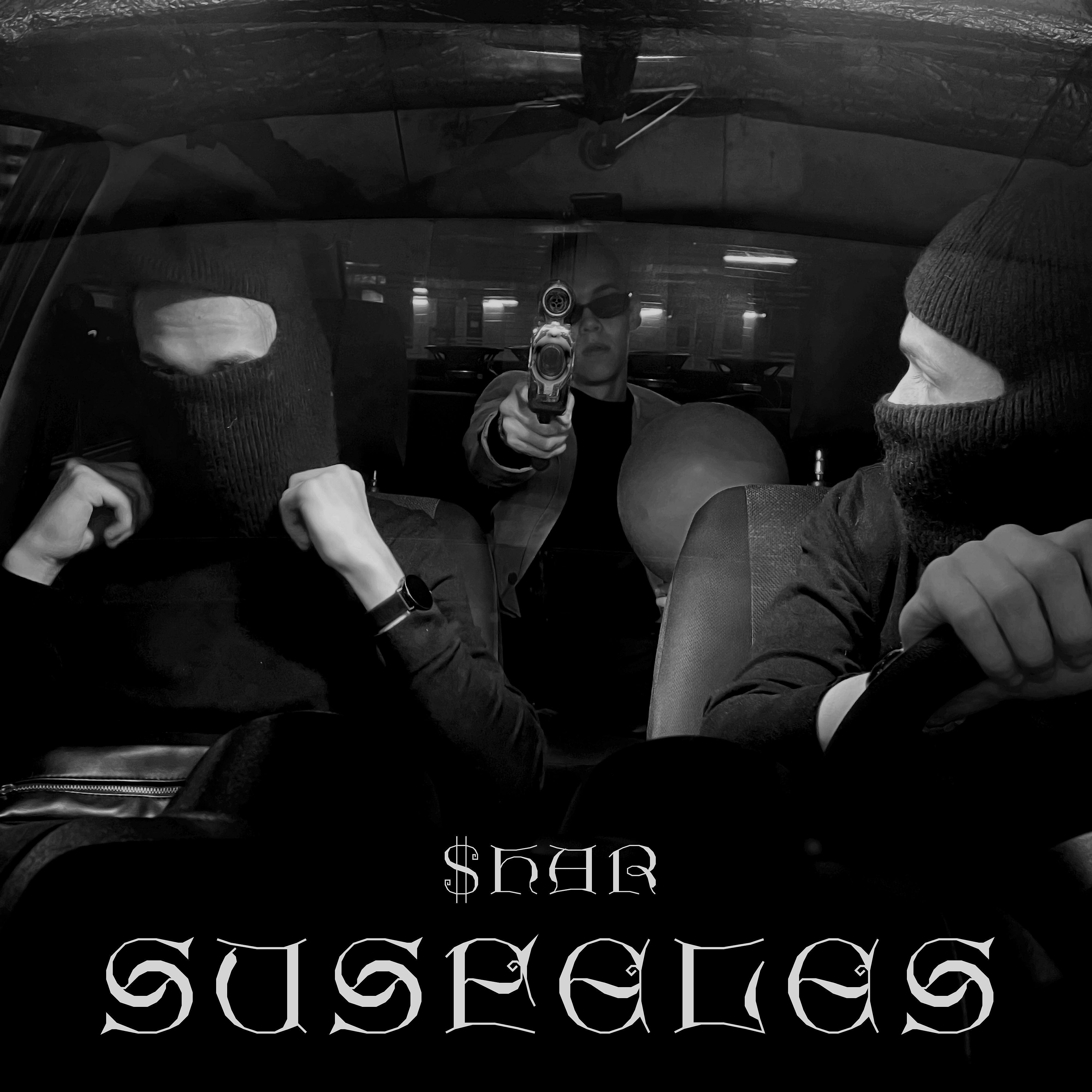 Постер альбома Susfeles