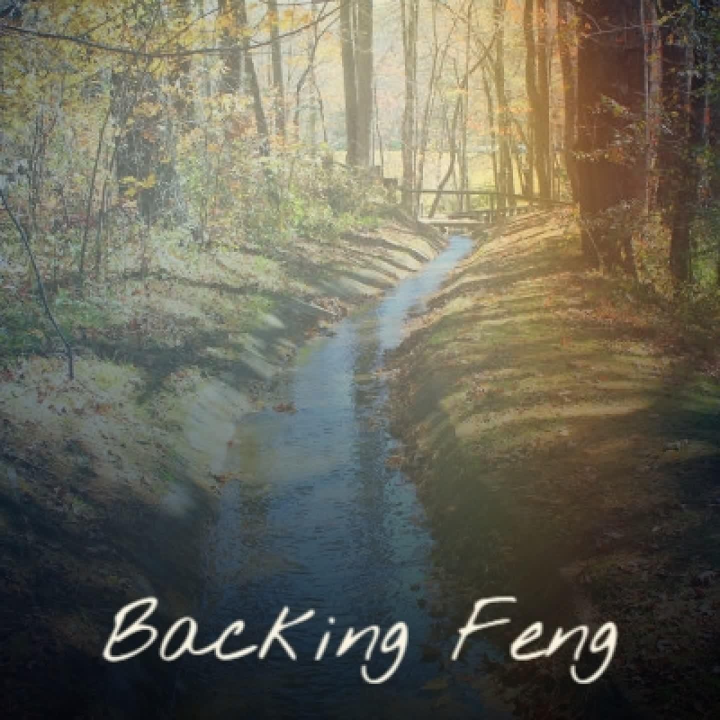 Постер альбома Backing Feng