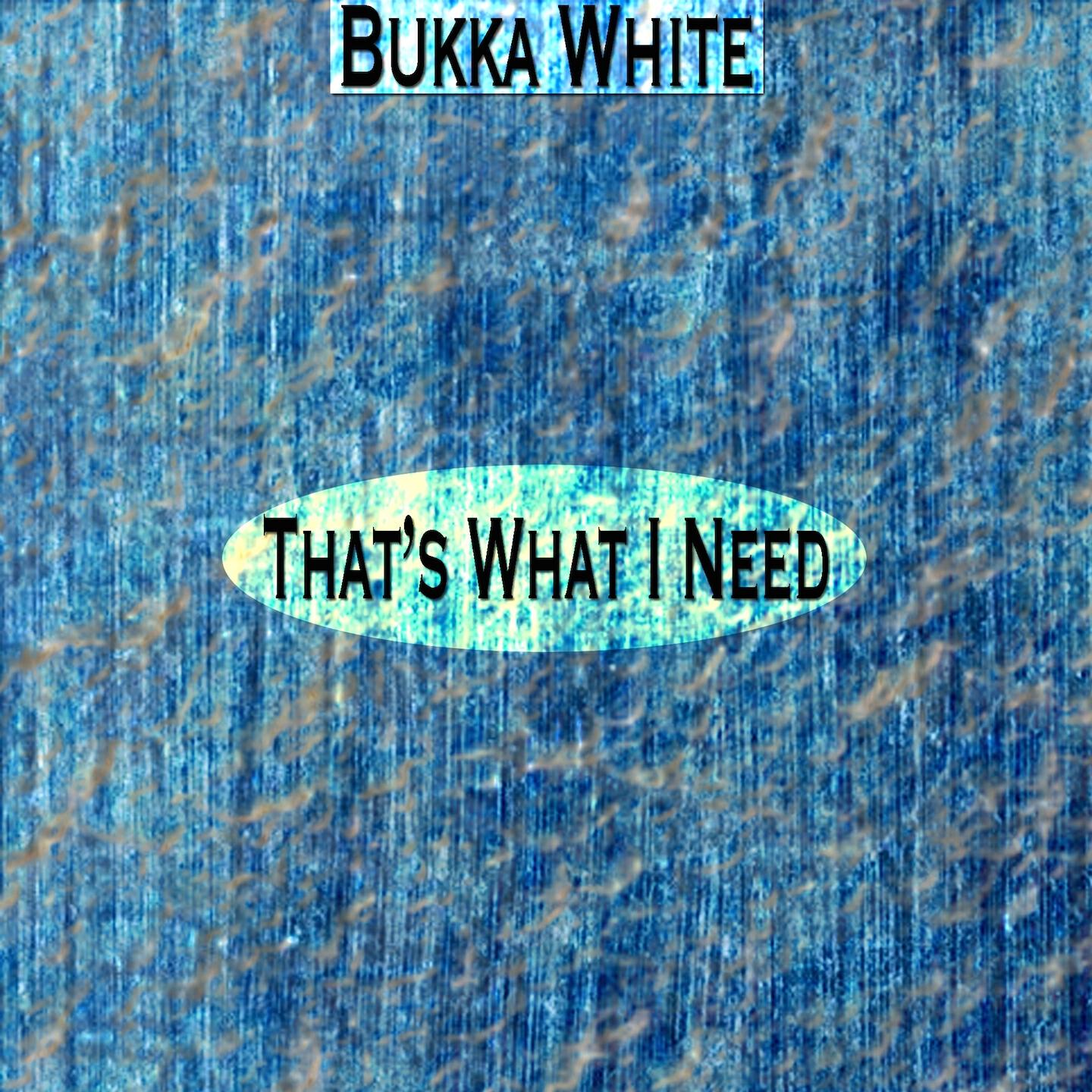 Bukka White - Pinebluff Arkansas (Remastered)