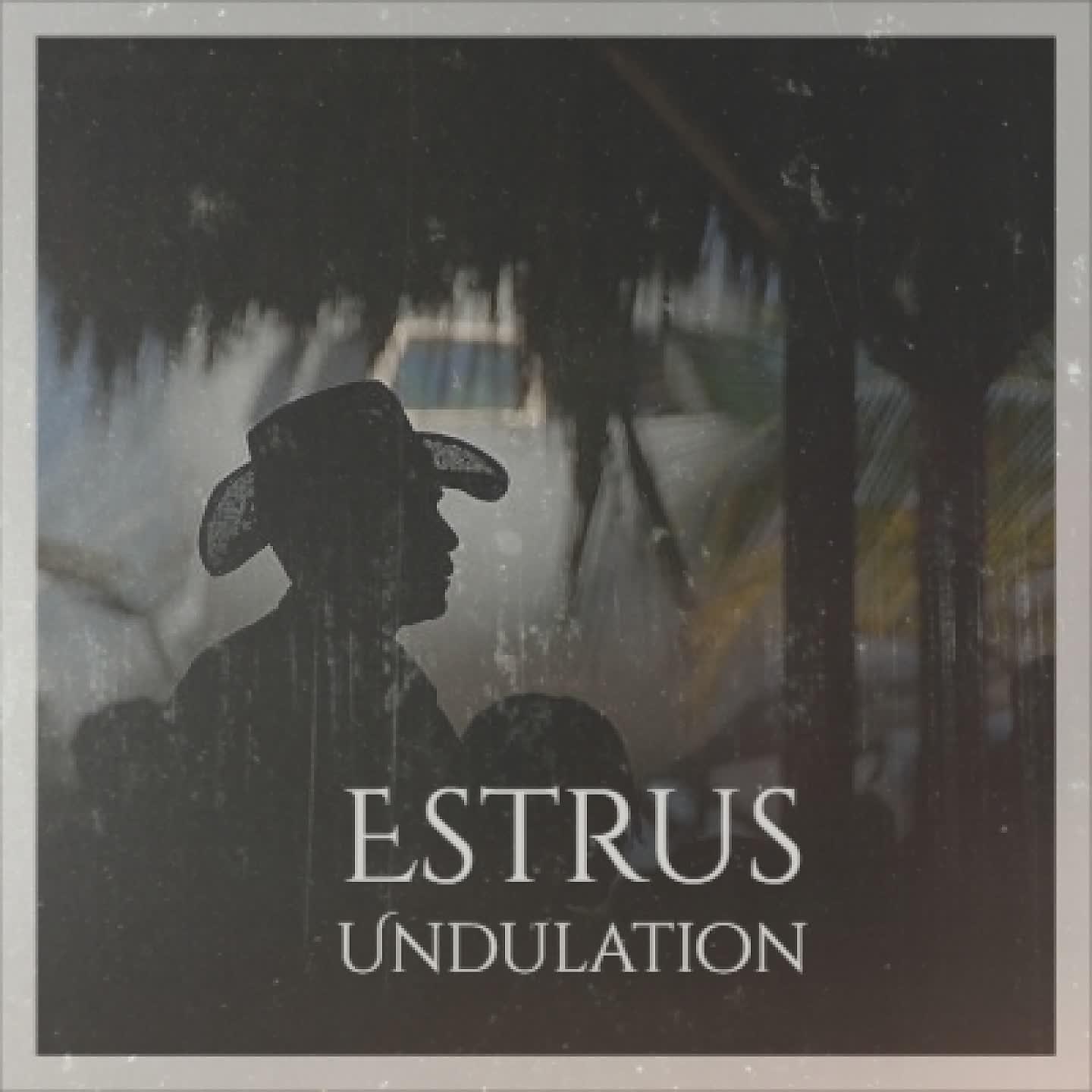 Постер альбома Estrus Undulation