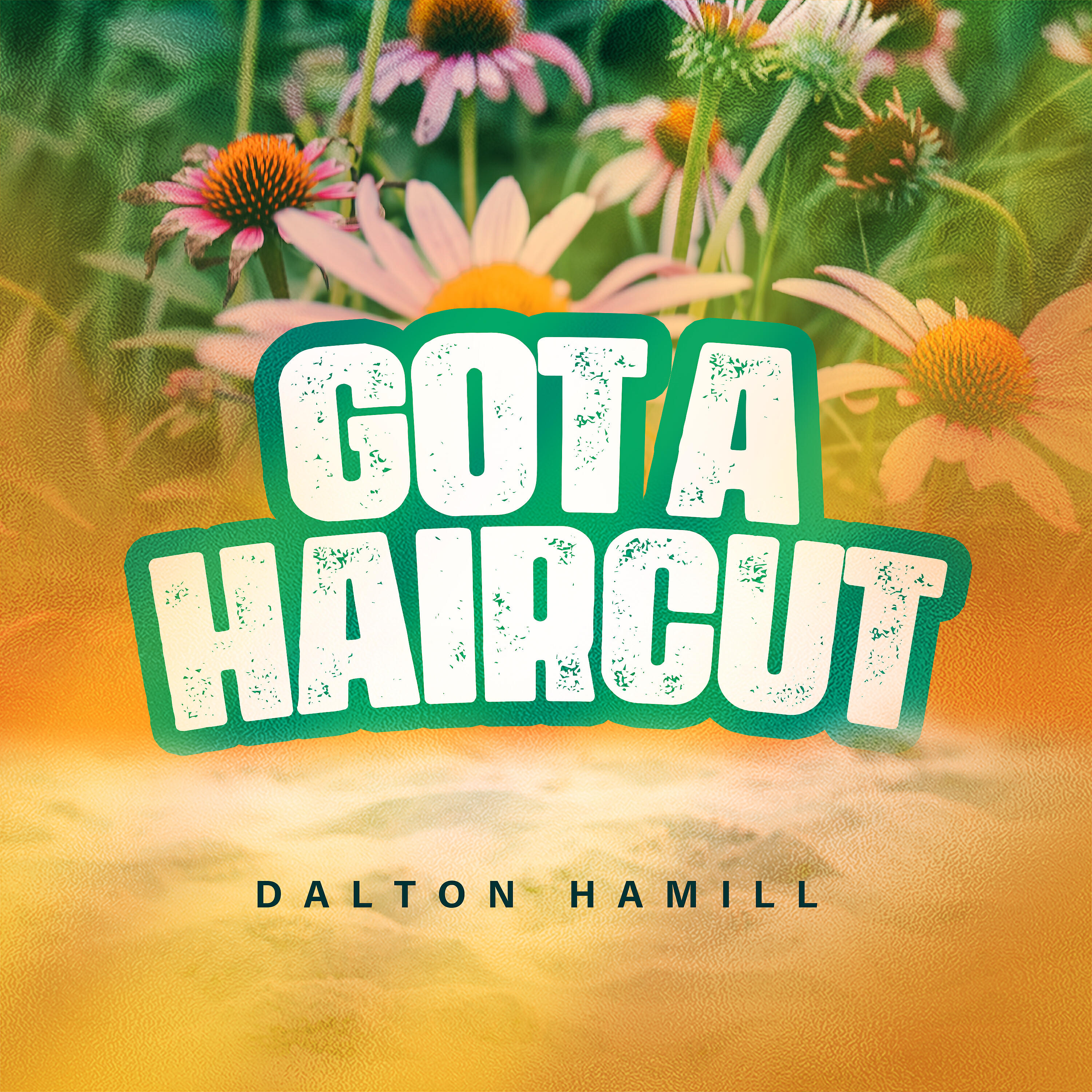 Dalton Hamill - Paradise Choice