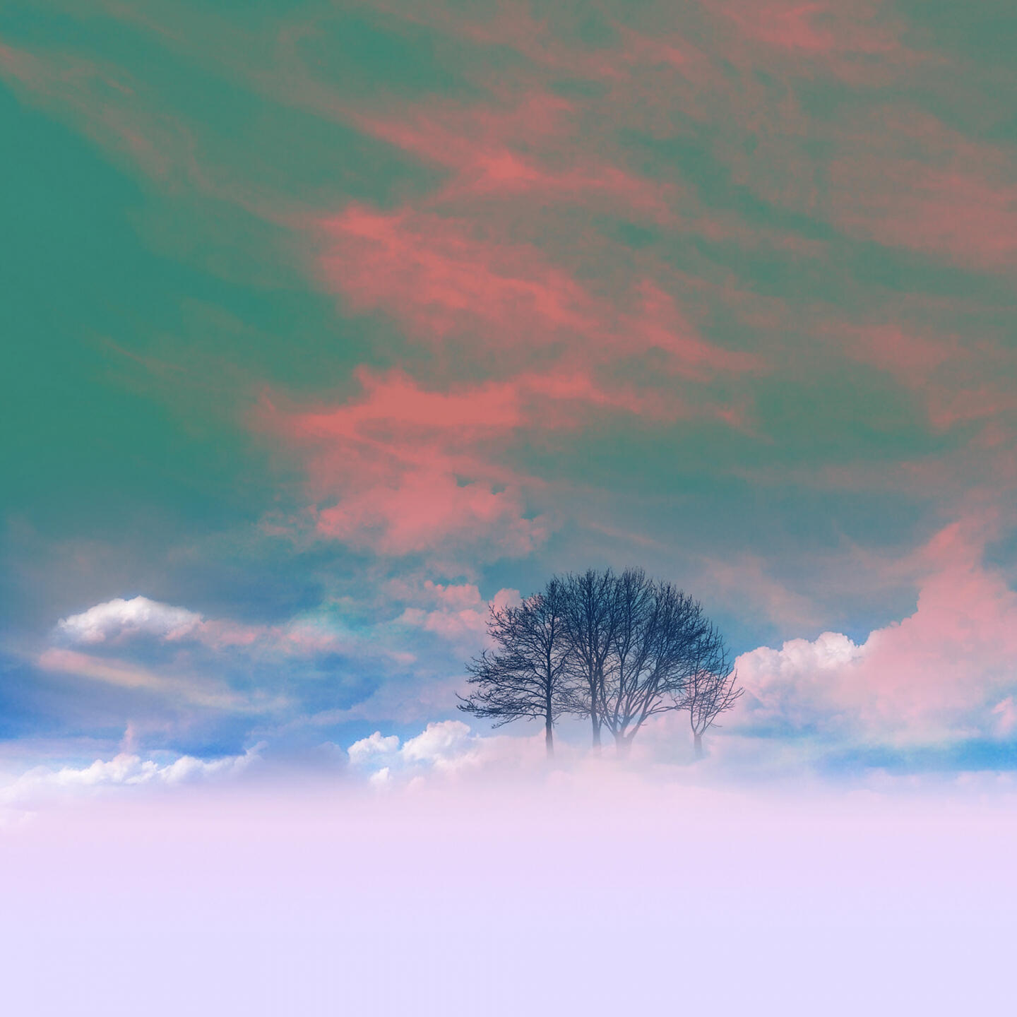 Javi Lobe - Life Reimagined