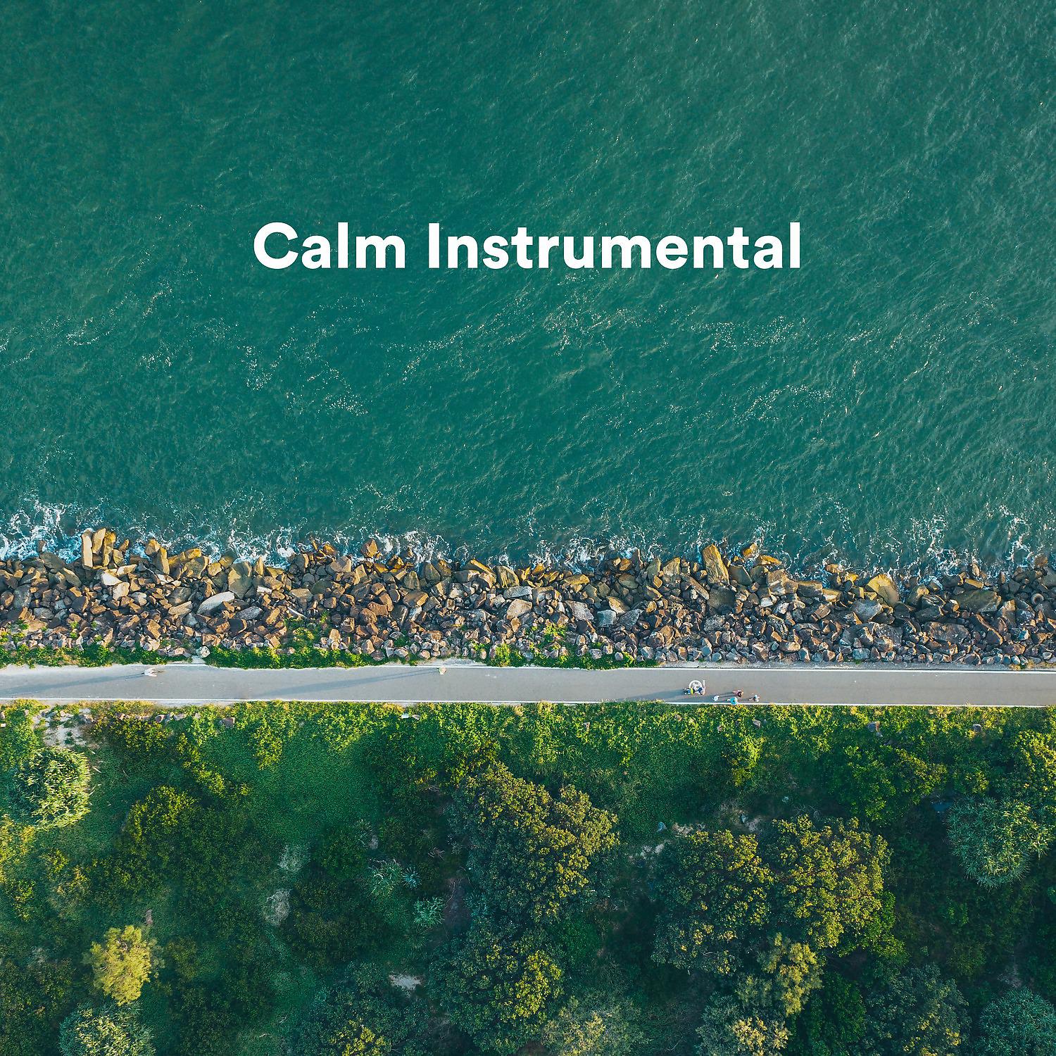 Постер альбома Calm Instrumental