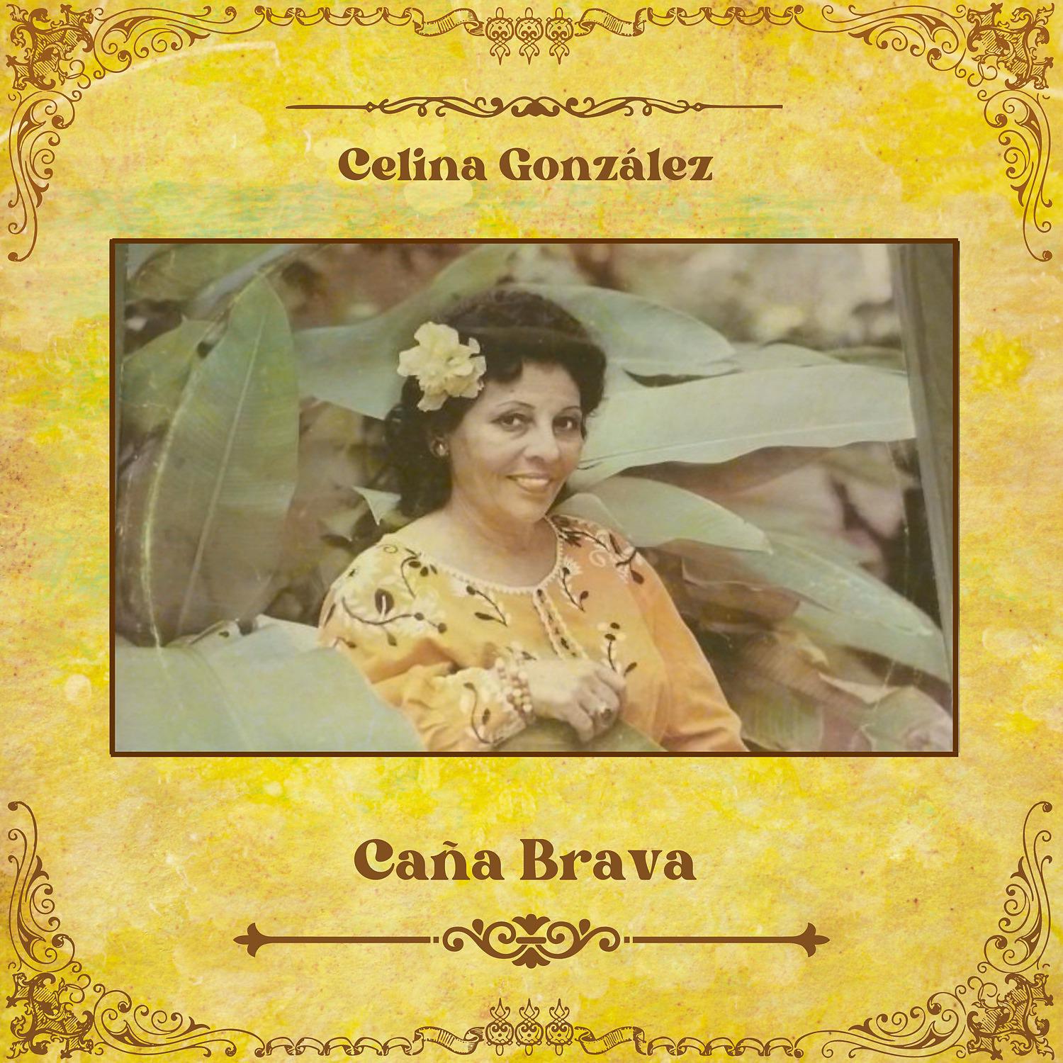 Постер альбома Caña Brava