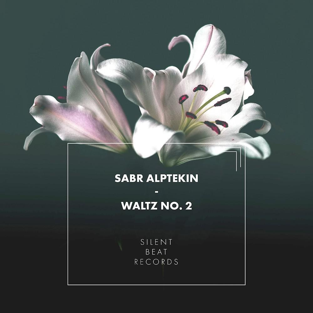 Постер альбома Waltz No. 2